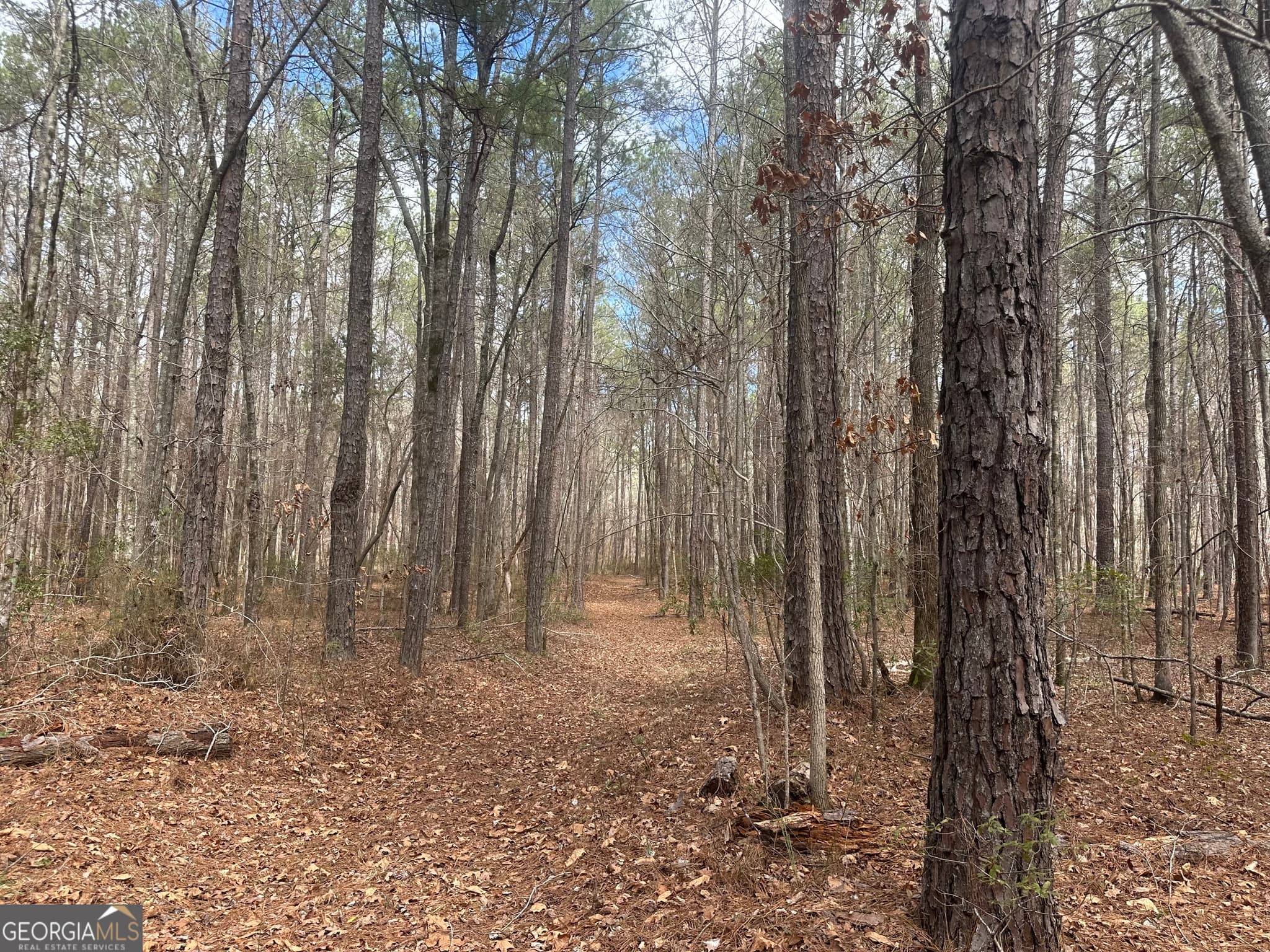 unimproved land for sale at 0 Gibson Road, Talbotton, GA 31827 — photo 2