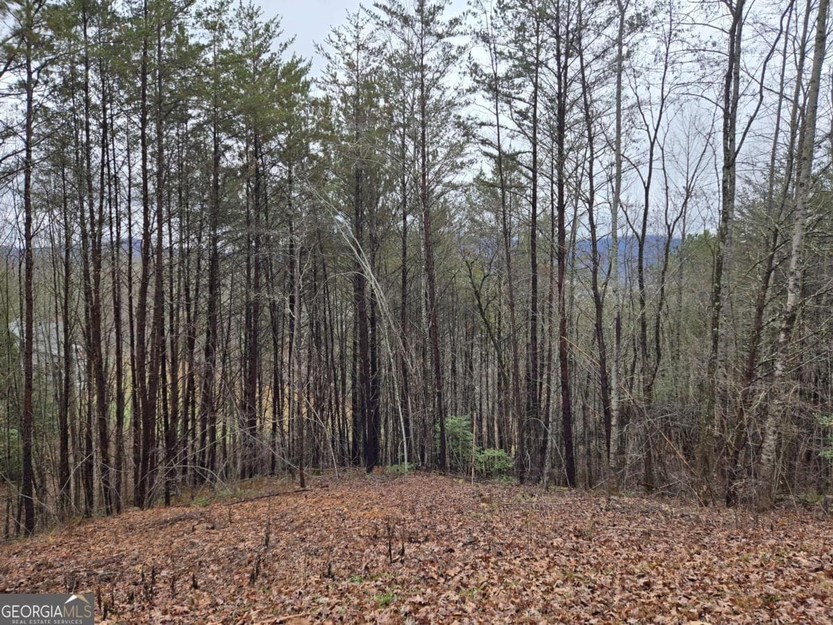 residential lot for sale at LOT 101 Eagles View Crescent, Hayesville, NC 28904 — photo 2