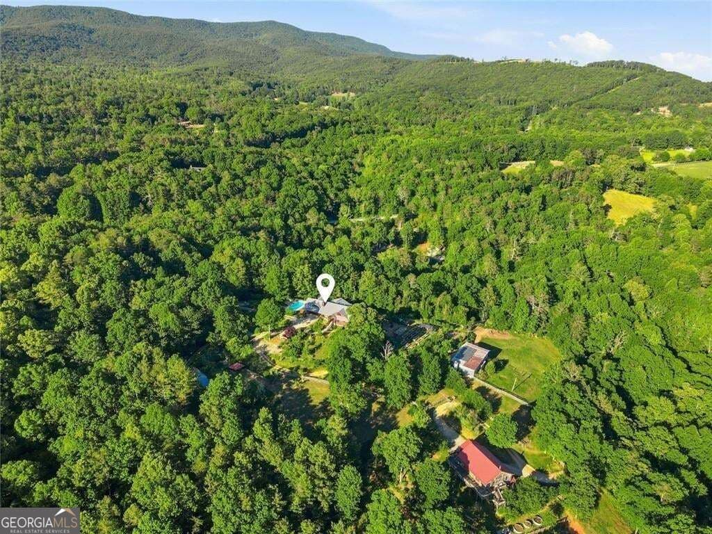 6 bedroom, 9.5 bathroom, 7,254 sq ft single family residence for sale at 1823 Shoal Creek Road, Clarkesville, GA 30523 — photo 7
