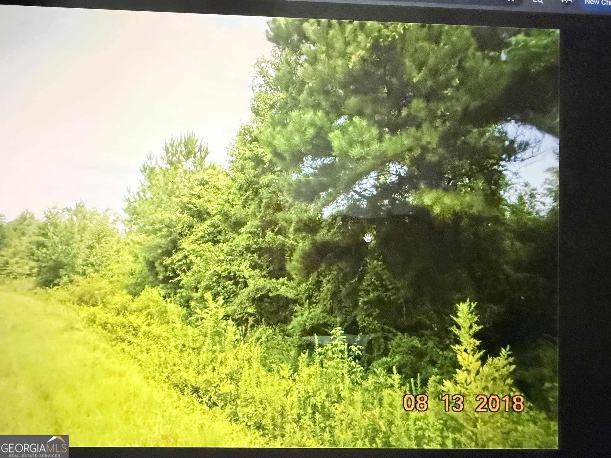 residential lot for sale at C017-020 Whitaker Road, Roberta, GA 31078