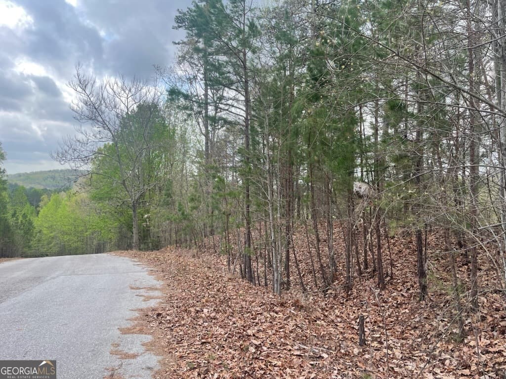 residential lot for sale at 0 Planters Pointe Drive, Baldwin, GA 30511 — photo 2
