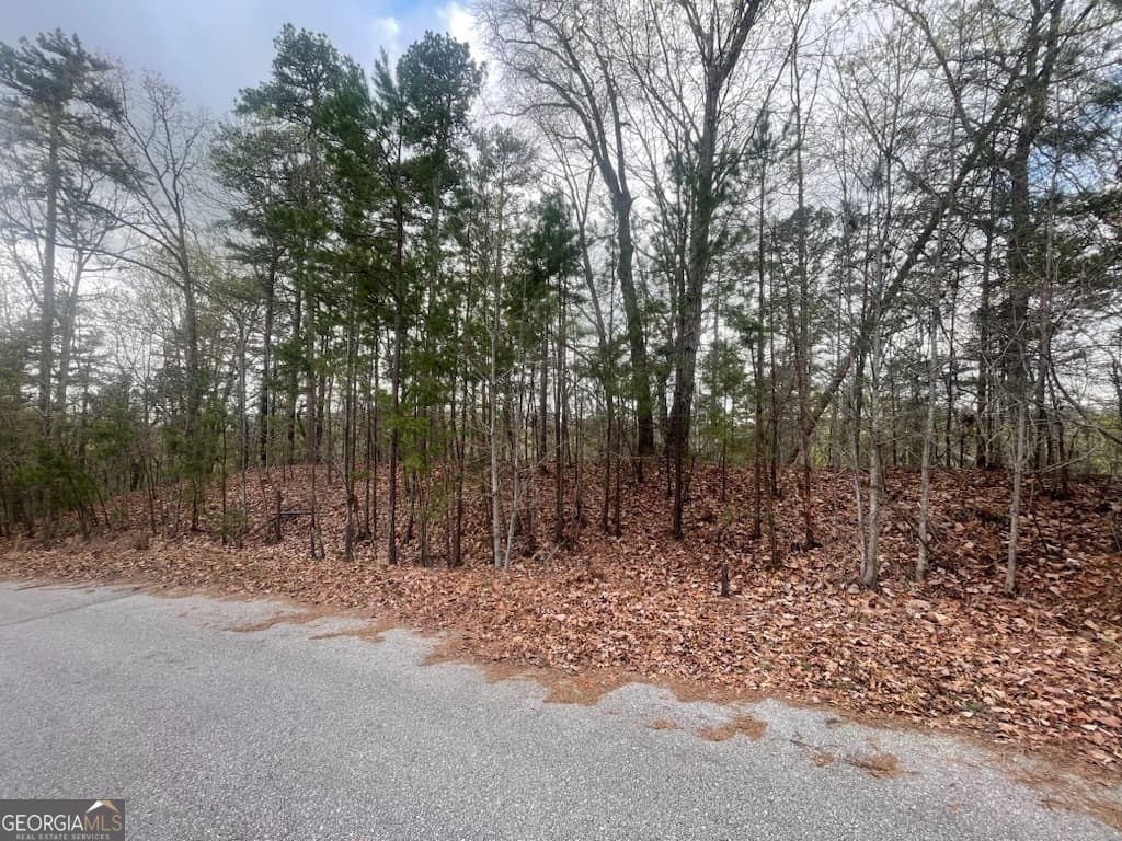 residential lot for sale at 0 Planters Pointe Drive, Baldwin, GA 30511 — photo 3
