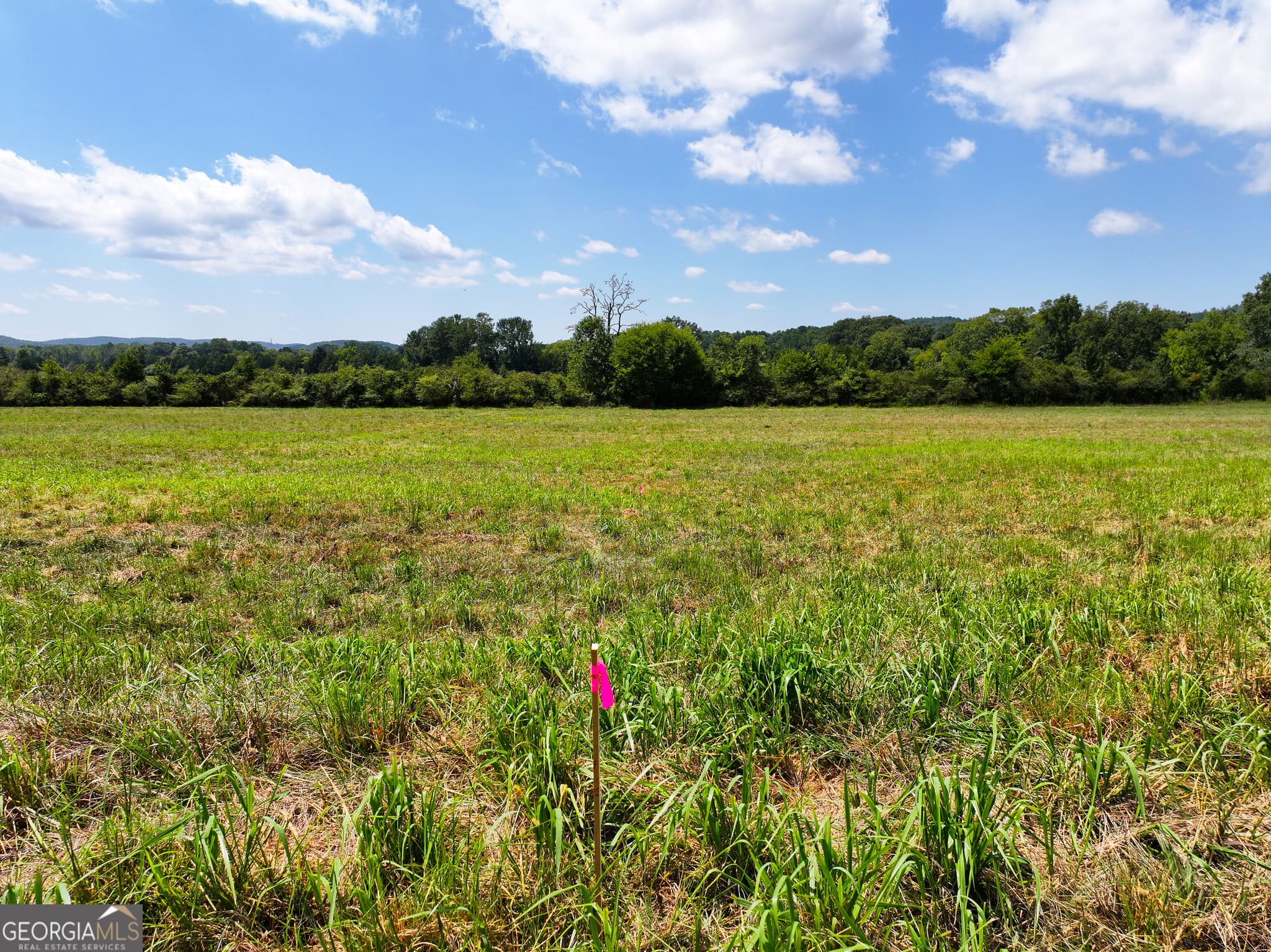 residential lot for sale at 0 Buttermilk Road TRACT 4, Cave Spring, GA 30124 — photo 4