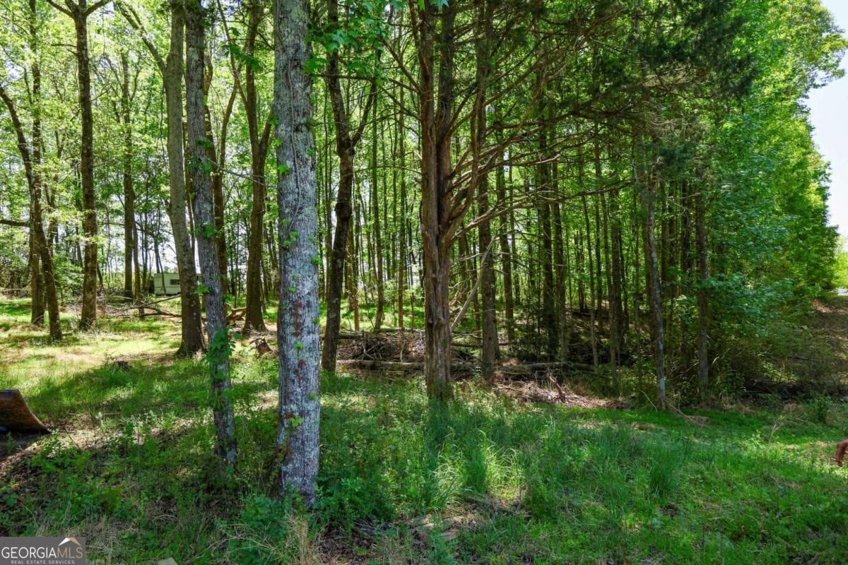 agriculture for sale at 0 Pritchett Road, Lula, GA 30554 — photo 9