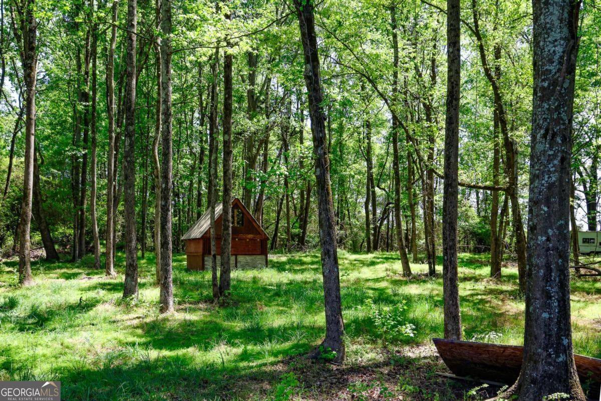 agriculture for sale at 0 Pritchett Road, Lula, GA 30554 — photo 10