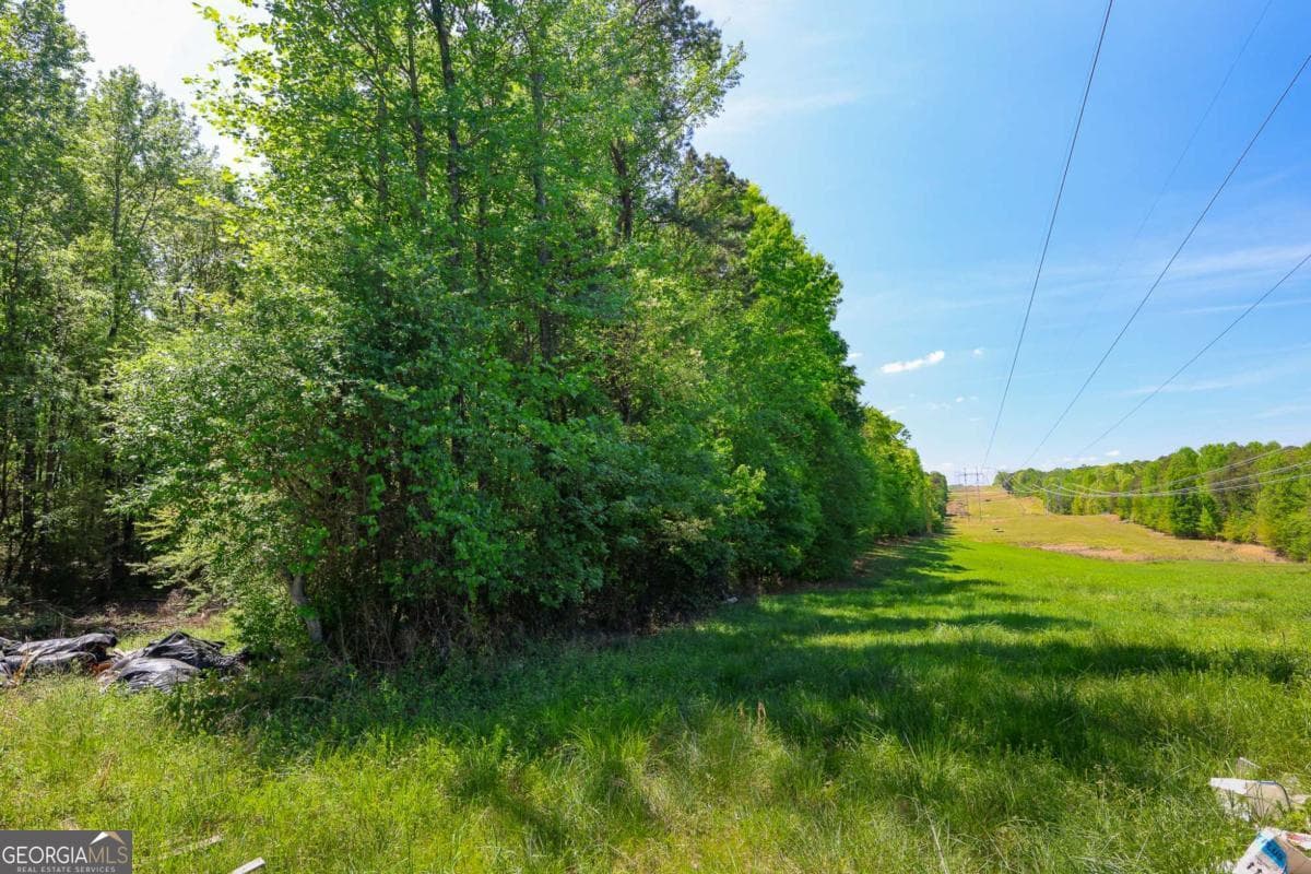 agriculture for sale at 0 Pritchett Road, Lula, GA 30554 — photo 8
