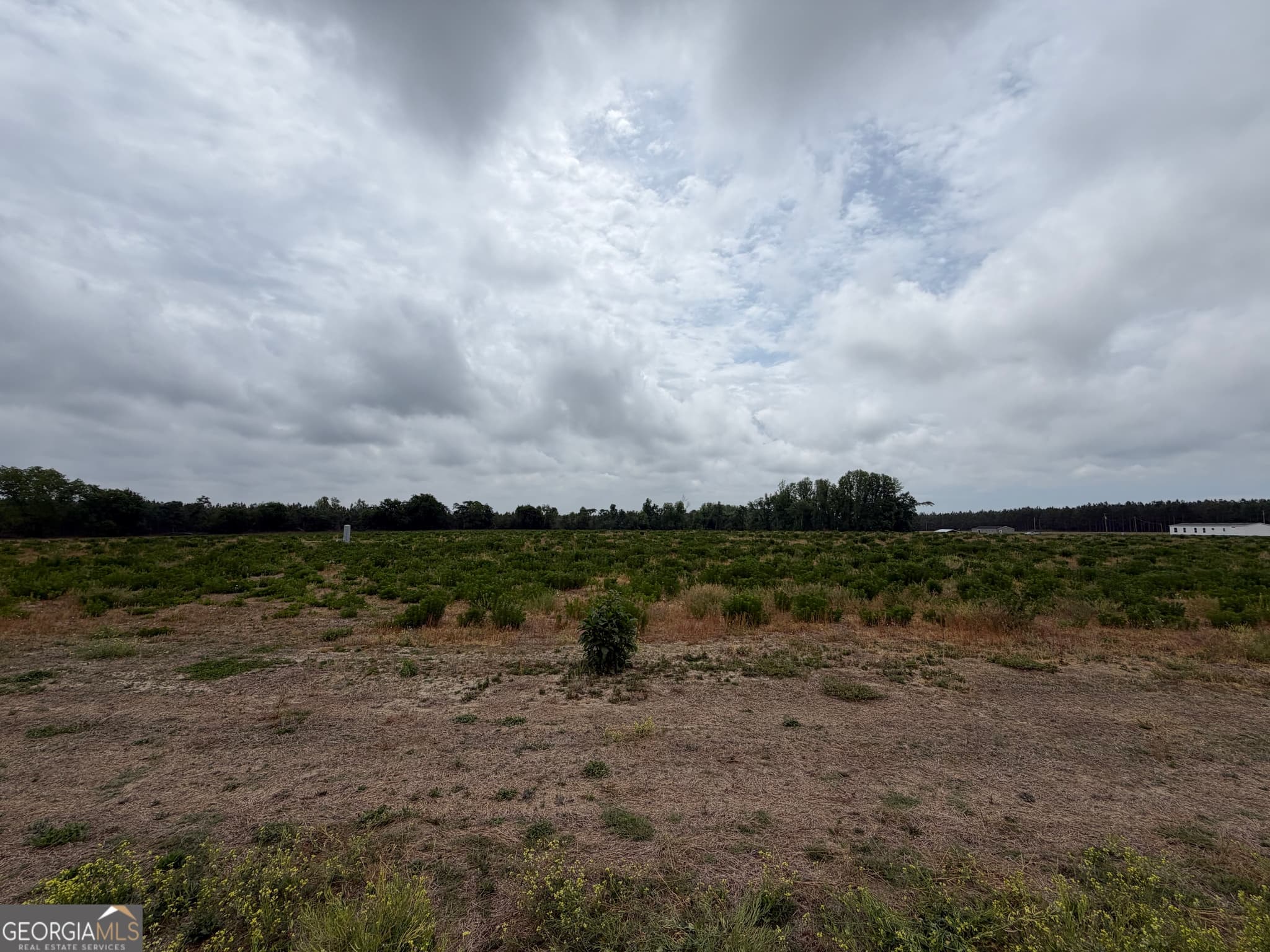 agriculture for sale at 238 Ivey Hall Clark Road, Garfield, GA 30425 — photo 2