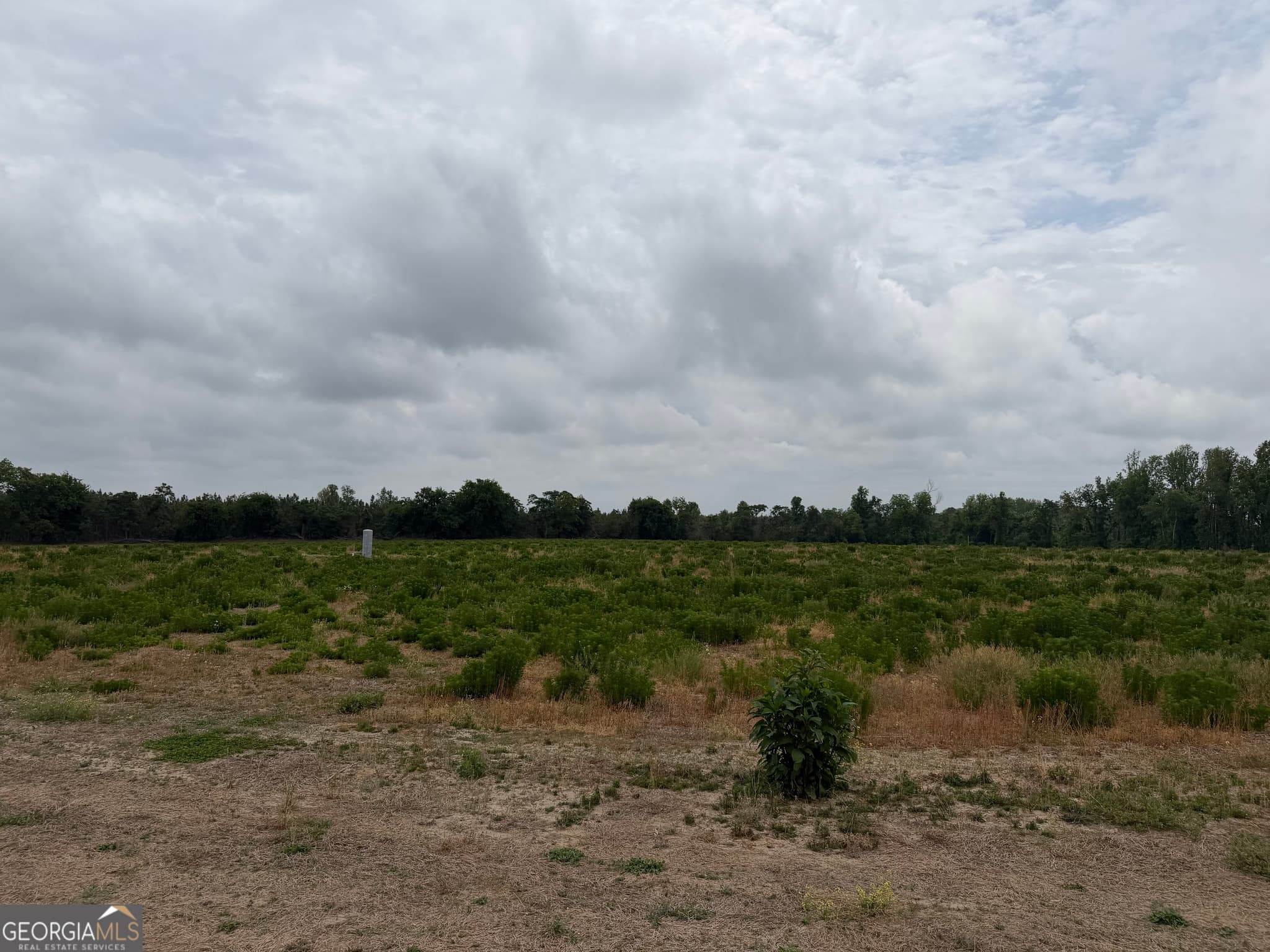 agriculture for sale at 238 Ivey Hall Clark Road, Garfield, GA 30425