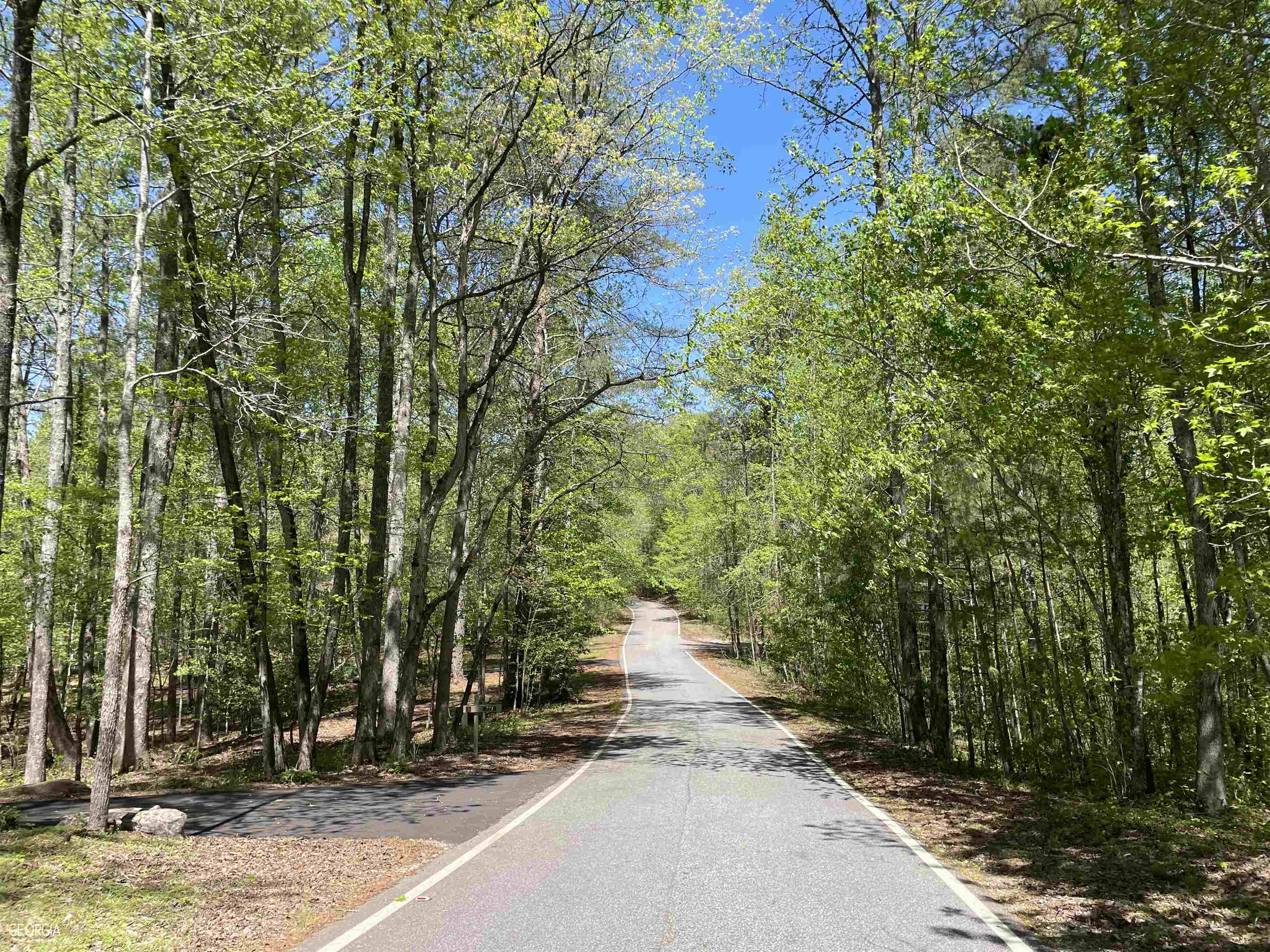 residential lot for sale at 23999 Waterford Way LOT 4849, Marble Hill, GA 30148 — photo 6