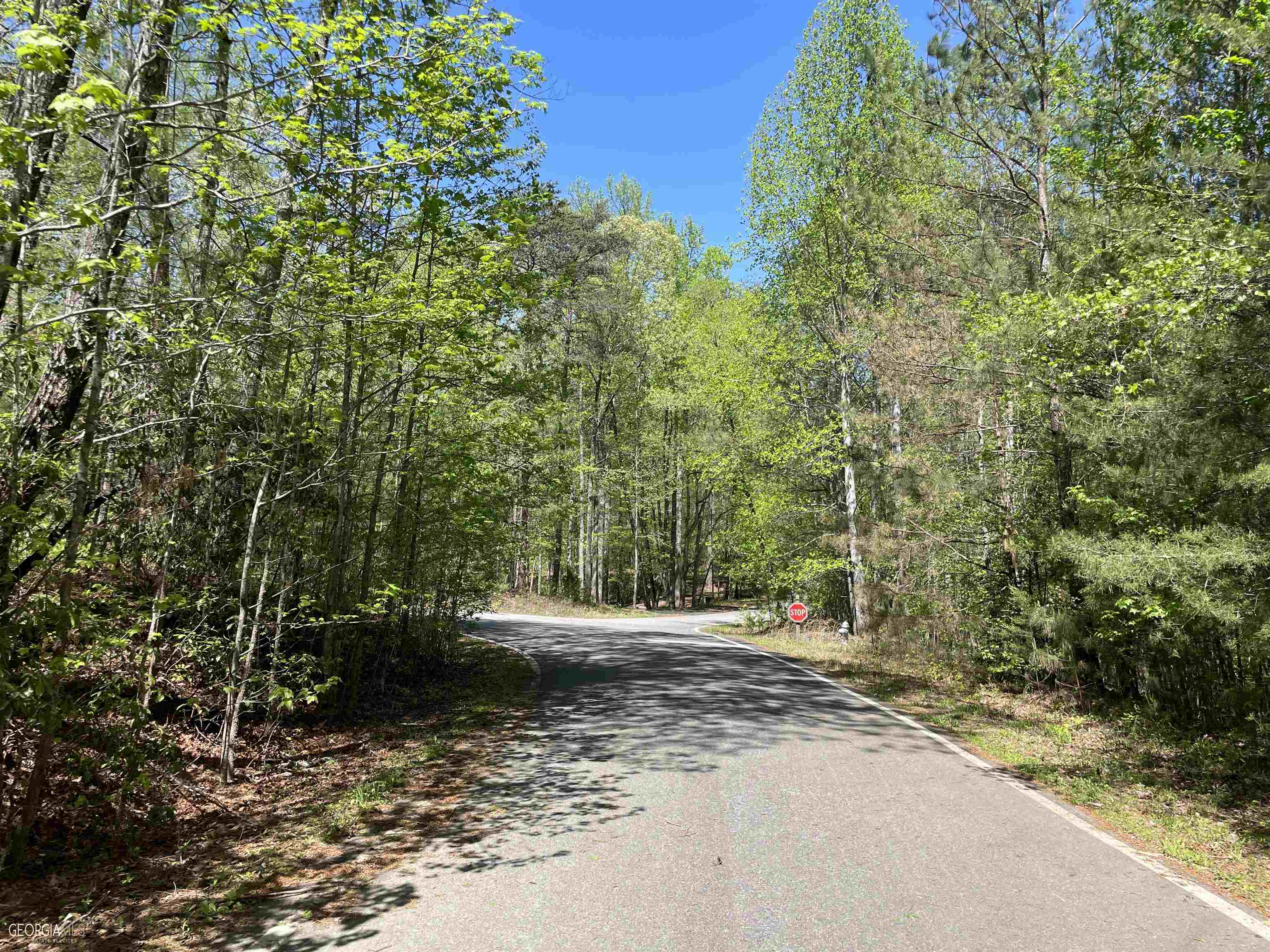 residential lot for sale at 23999 Waterford Way LOT 4849, Marble Hill, GA 30148 — photo 5