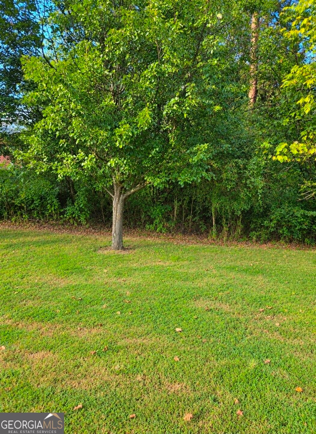 4 bedroom, 2 bathroom, 2,566 sq ft single family residence for sale at 97 E Riley, Chatsworth, GA 30705 — photo 10