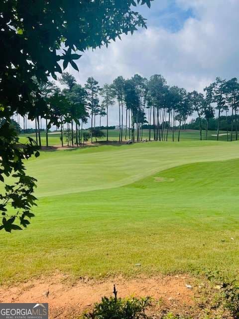 residential lot for sale at 124 Hawks Court, Ball Ground, GA 30107 — photo 2
