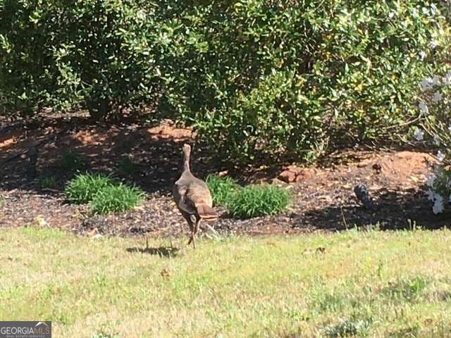 residential lot for sale at 124 Hawks Court, Ball Ground, GA 30107 — photo 10