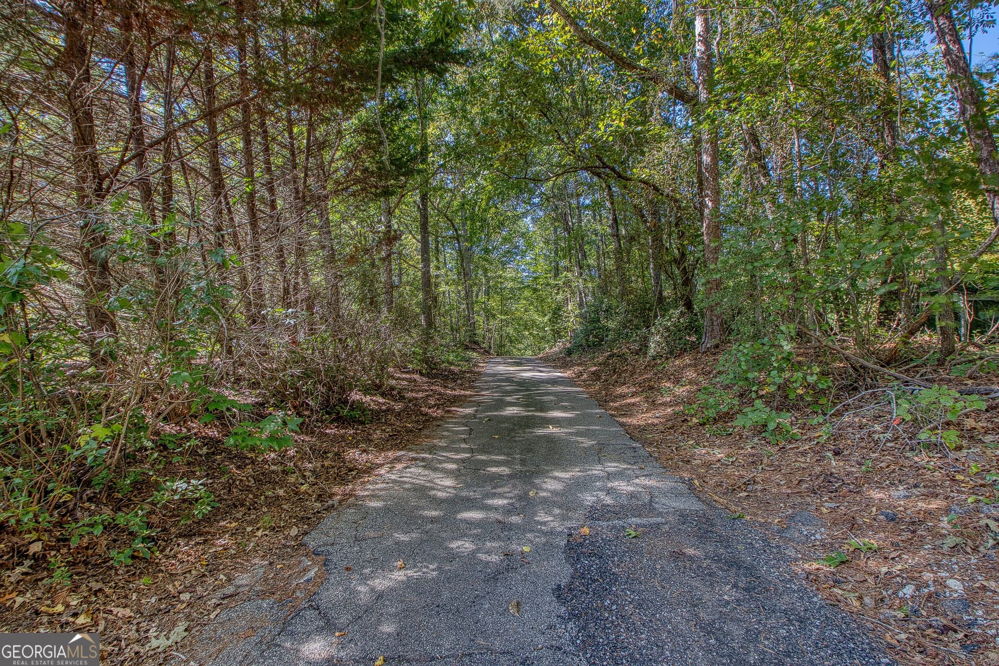 2 bedroom, 2.5 bathroom, 2,583 sq ft single family residence for sale at 1735 Highway 85, Senoia, GA 30276 — photo 9