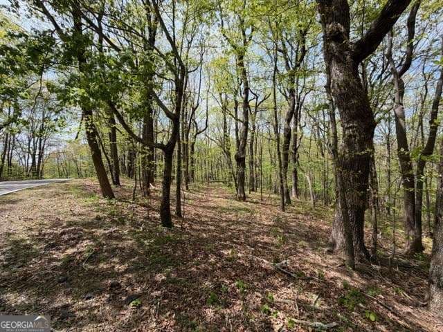 residential lot for sale at LOT 26 Falcons Nest 26, Jasper, GA 30143 — photo 2