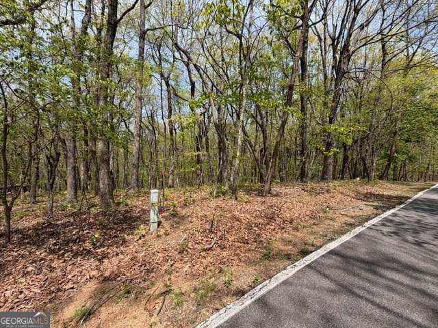residential lot for sale at LOT 26 Falcons Nest 26, Jasper, GA 30143 — photo 3