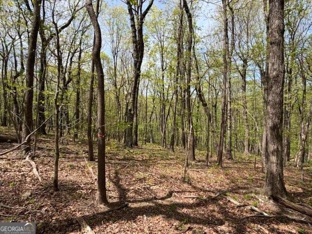 residential lot for sale at LOT 26 Falcons Nest 26, Jasper, GA 30143 — photo 1 of 11