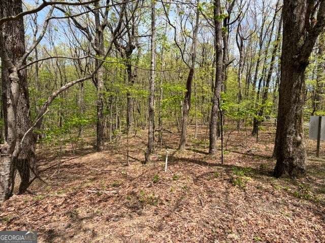 residential lot for sale at LOT 26 Falcons Nest 26, Jasper, GA 30143 — photo 5