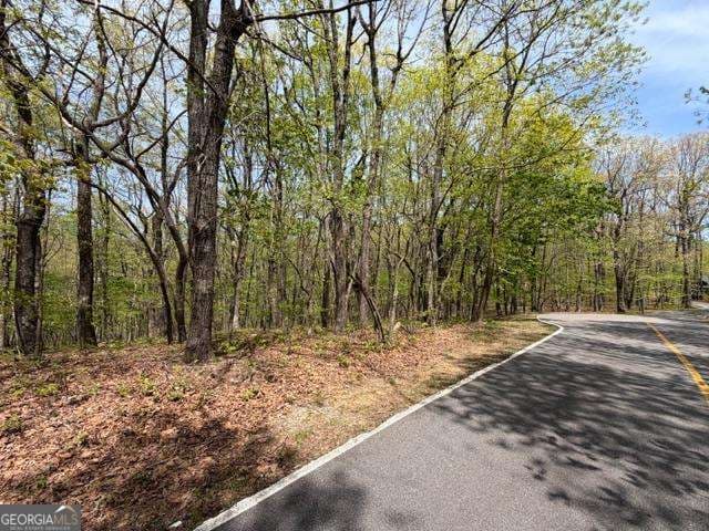 residential lot for sale at LOT 26 Falcons Nest 26, Jasper, GA 30143 — photo 9