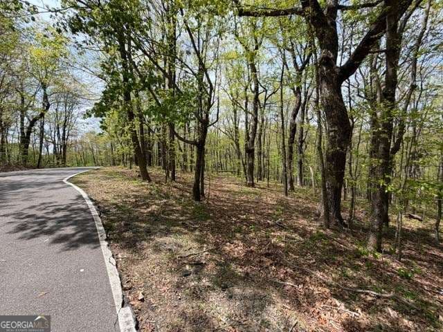 residential lot for sale at LOT 26 Falcons Nest 26, Jasper, GA 30143 — photo 4