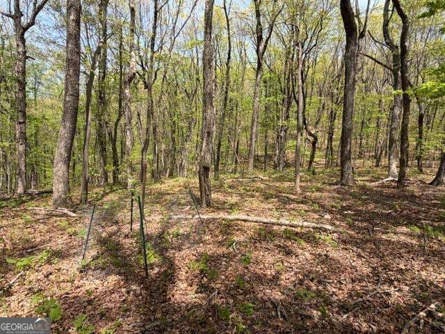 residential lot for sale at LOT 26 Falcons Nest 26, Jasper, GA 30143 — photo 8