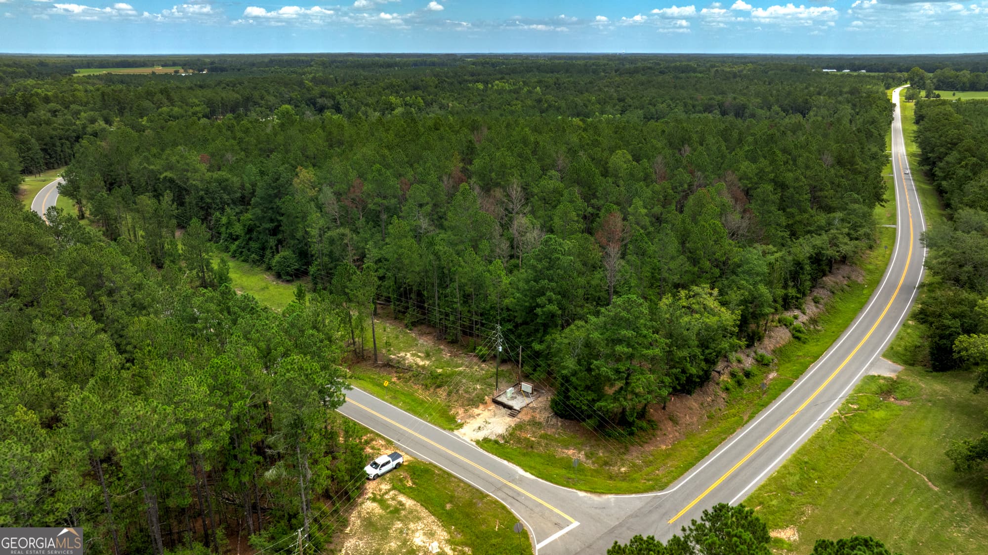 agriculture for sale at 0 Stafford Road, Claxton, GA 30417 — photo 2