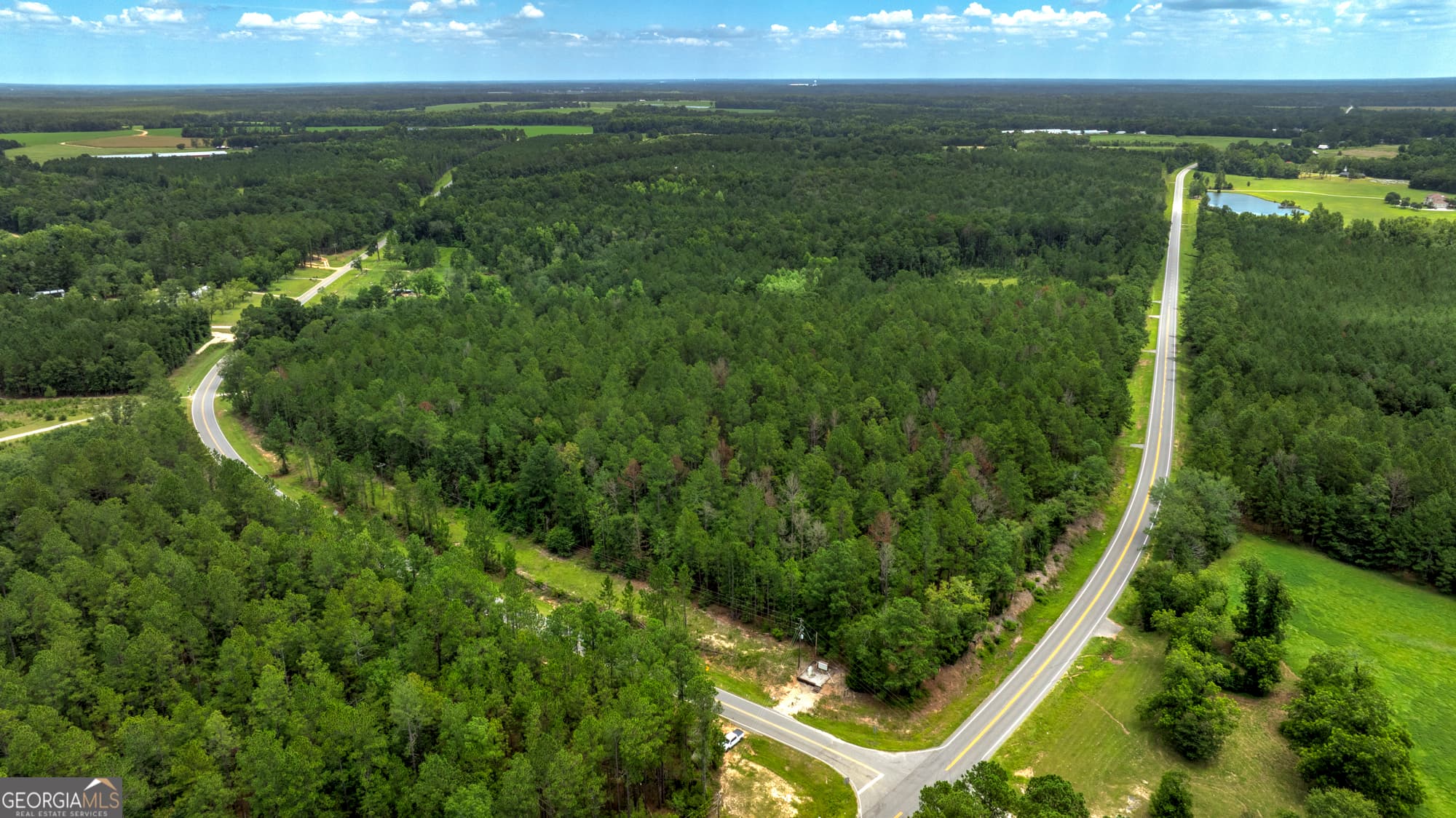 agriculture for sale at 0 Stafford Road, Claxton, GA 30417 — photo 6