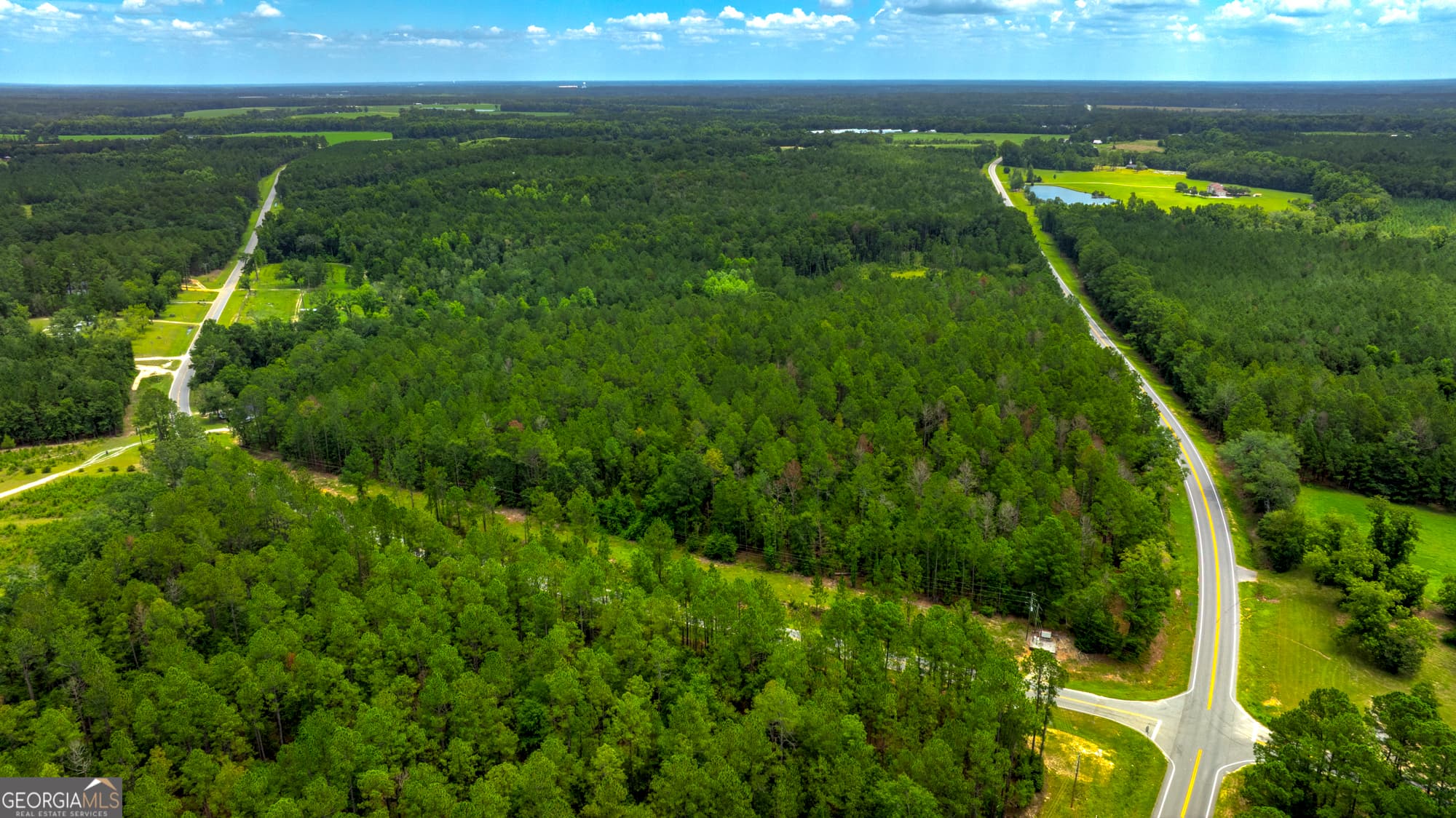 agriculture for sale at 0 Stafford Road, Claxton, GA 30417 — photo 7