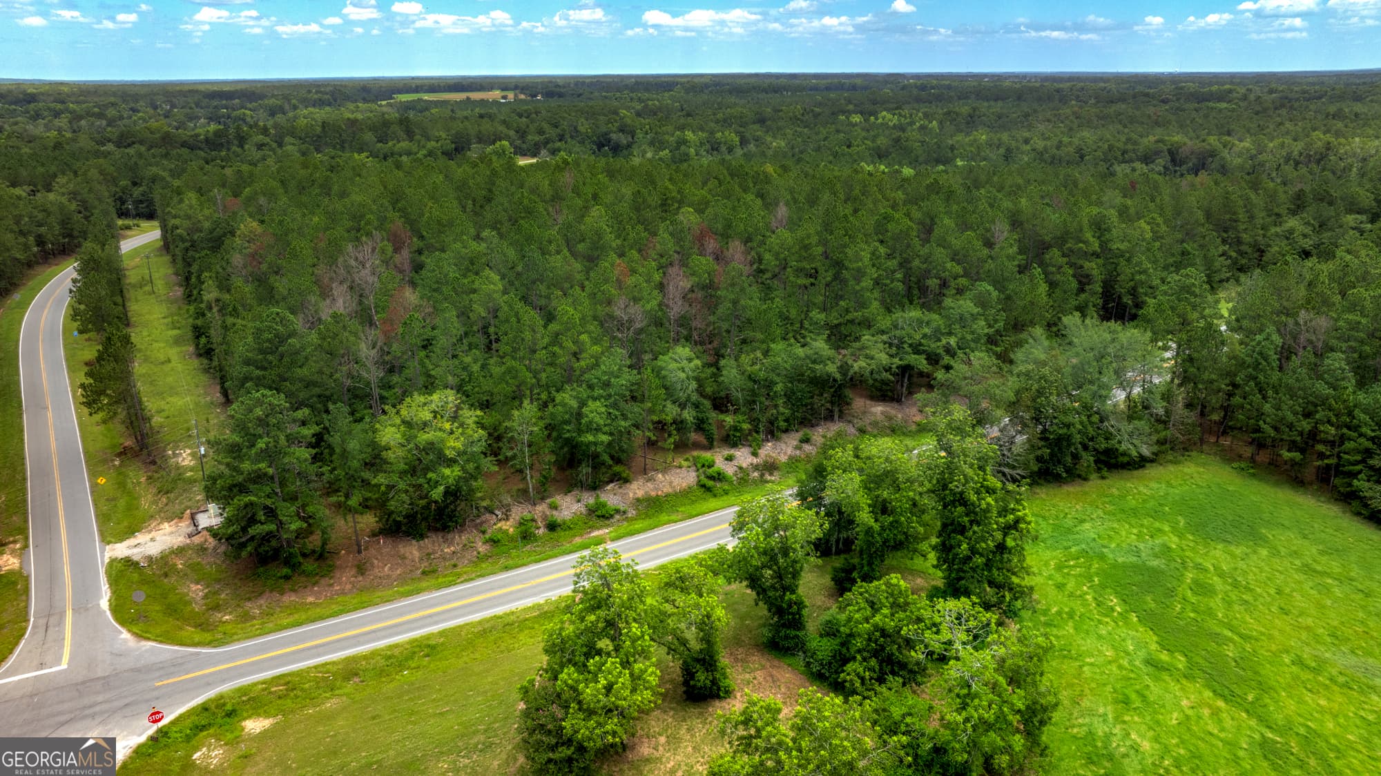 agriculture for sale at 0 Stafford Road, Claxton, GA 30417 — photo 3