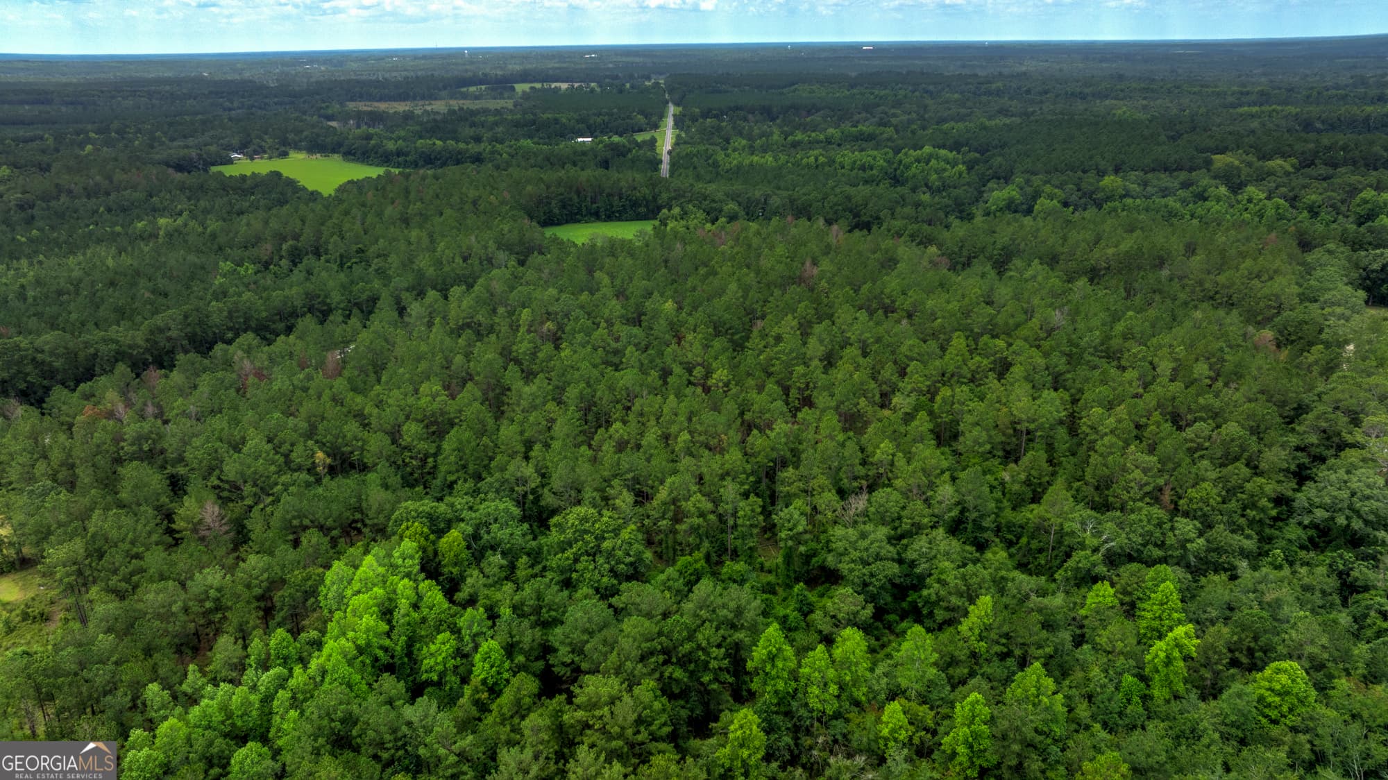 agriculture for sale at 0 Stafford Road, Claxton, GA 30417 — photo 5