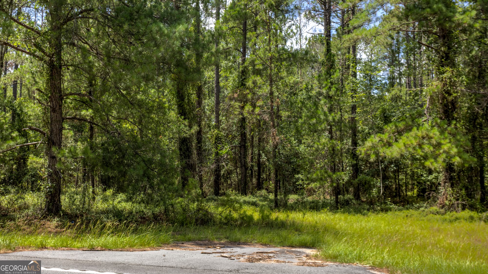 agriculture for sale at 0 Stafford Road, Claxton, GA 30417 — photo 9