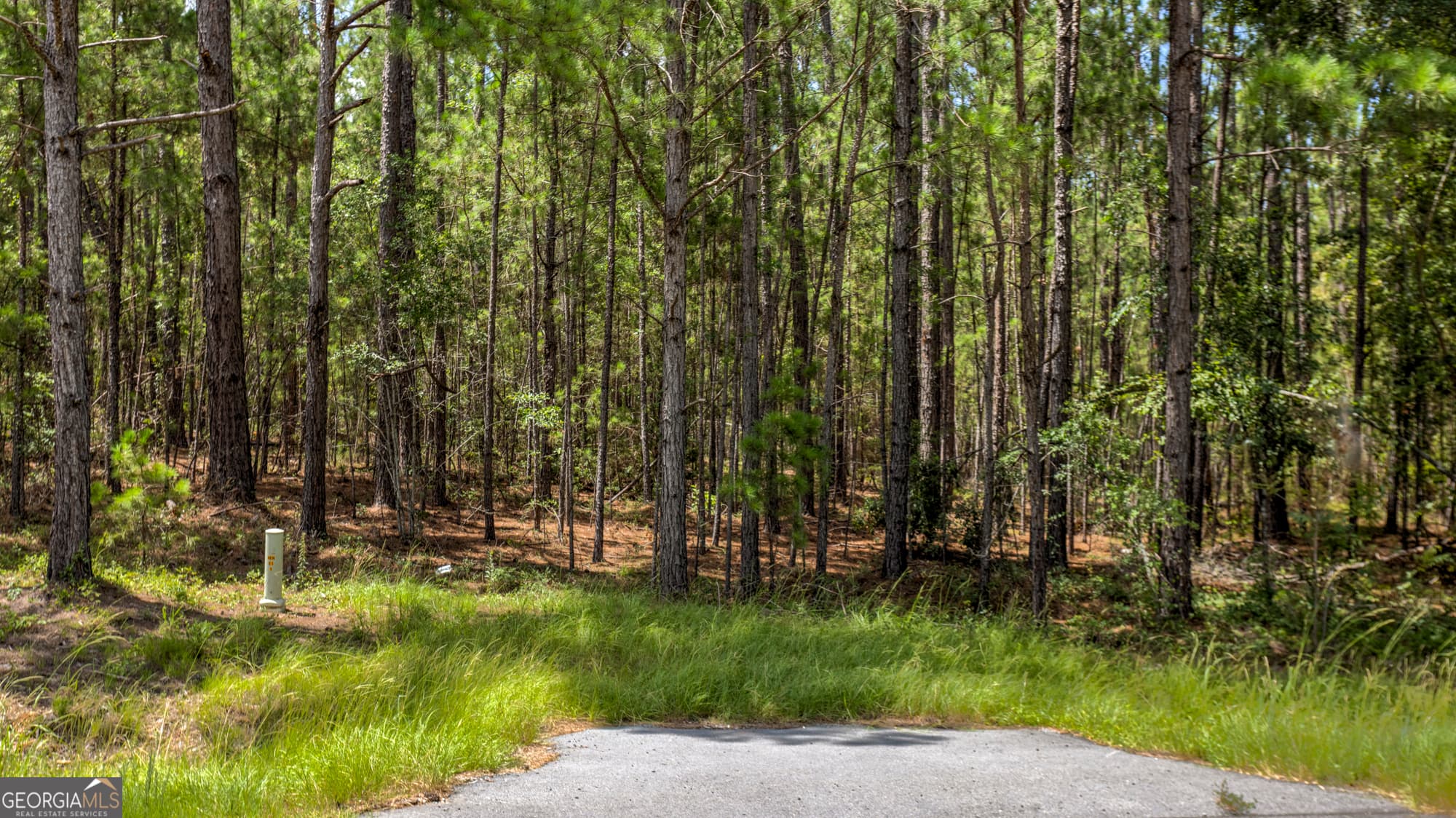 agriculture for sale at 0 Stafford Road, Claxton, GA 30417 — photo 10