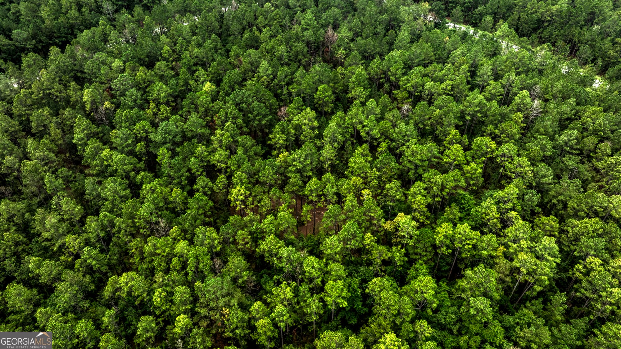 agriculture for sale at 0 Stafford Road, Claxton, GA 30417 — photo 4