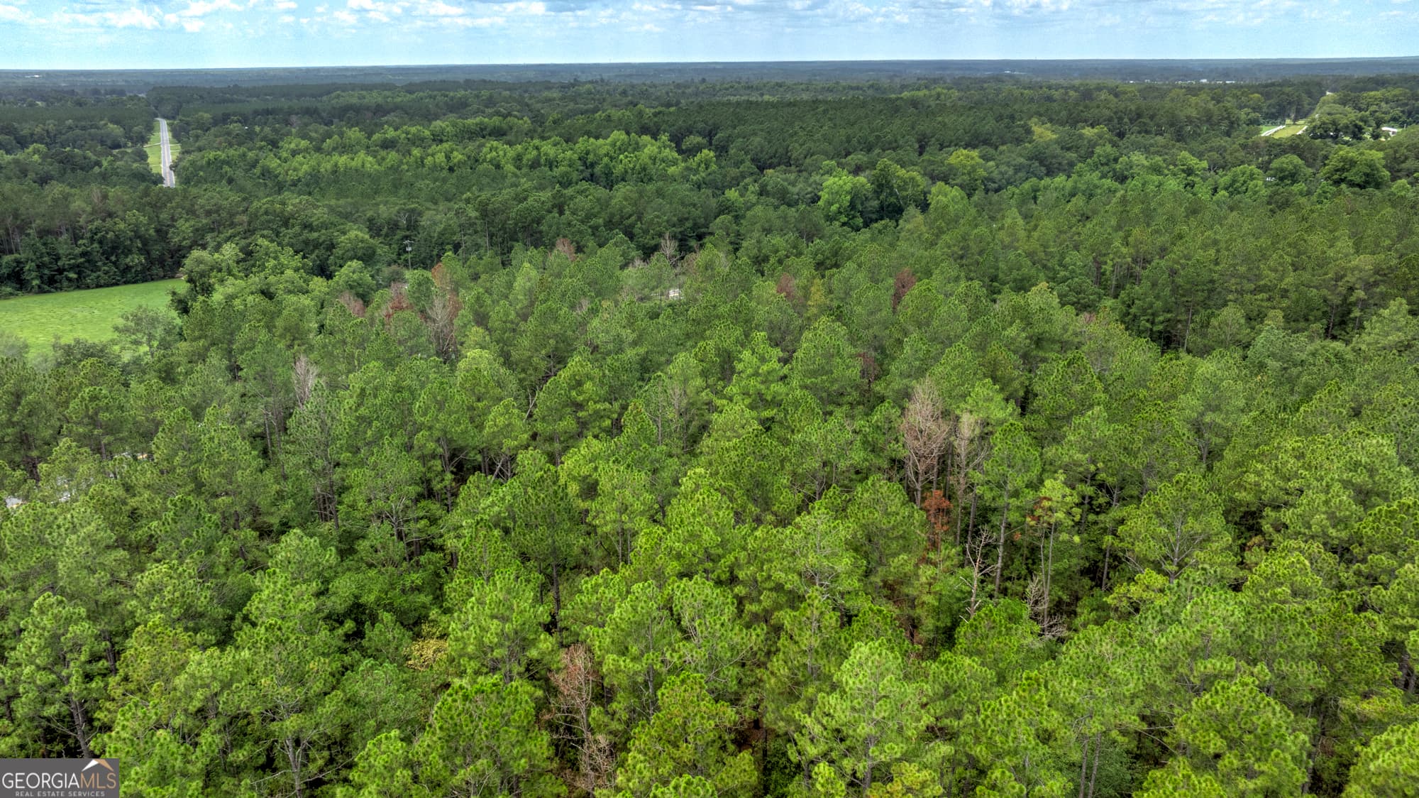 agriculture for sale at 0 Stafford Road, Claxton, GA 30417 — photo 8