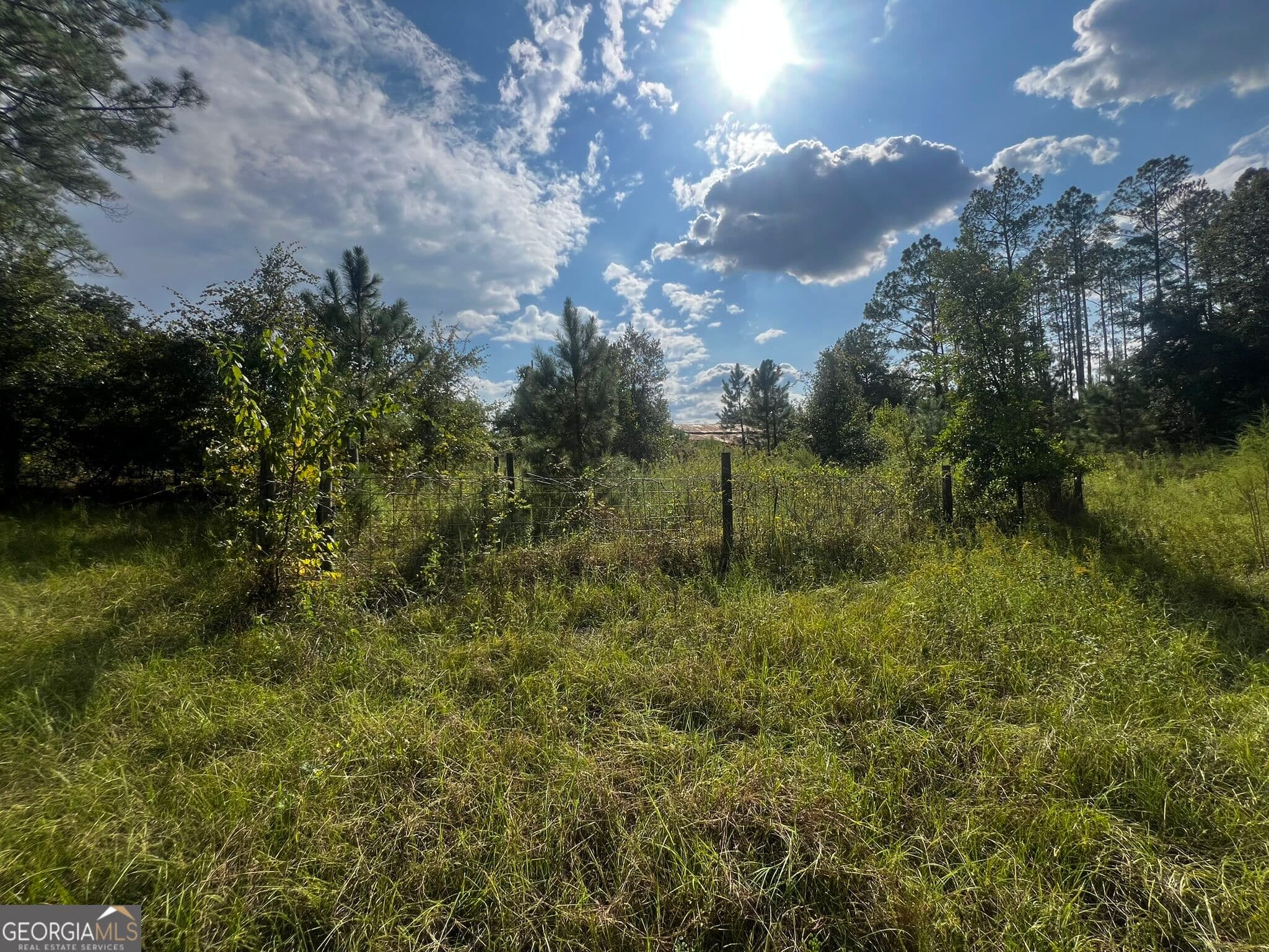 agriculture under contract at 3288 New Hope Road, Odum, GA 31555 — photo 2