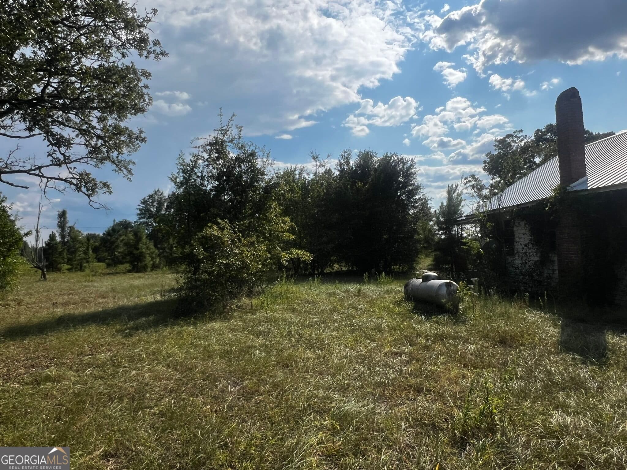 agriculture under contract at 3288 New Hope Road, Odum, GA 31555 — photo 6