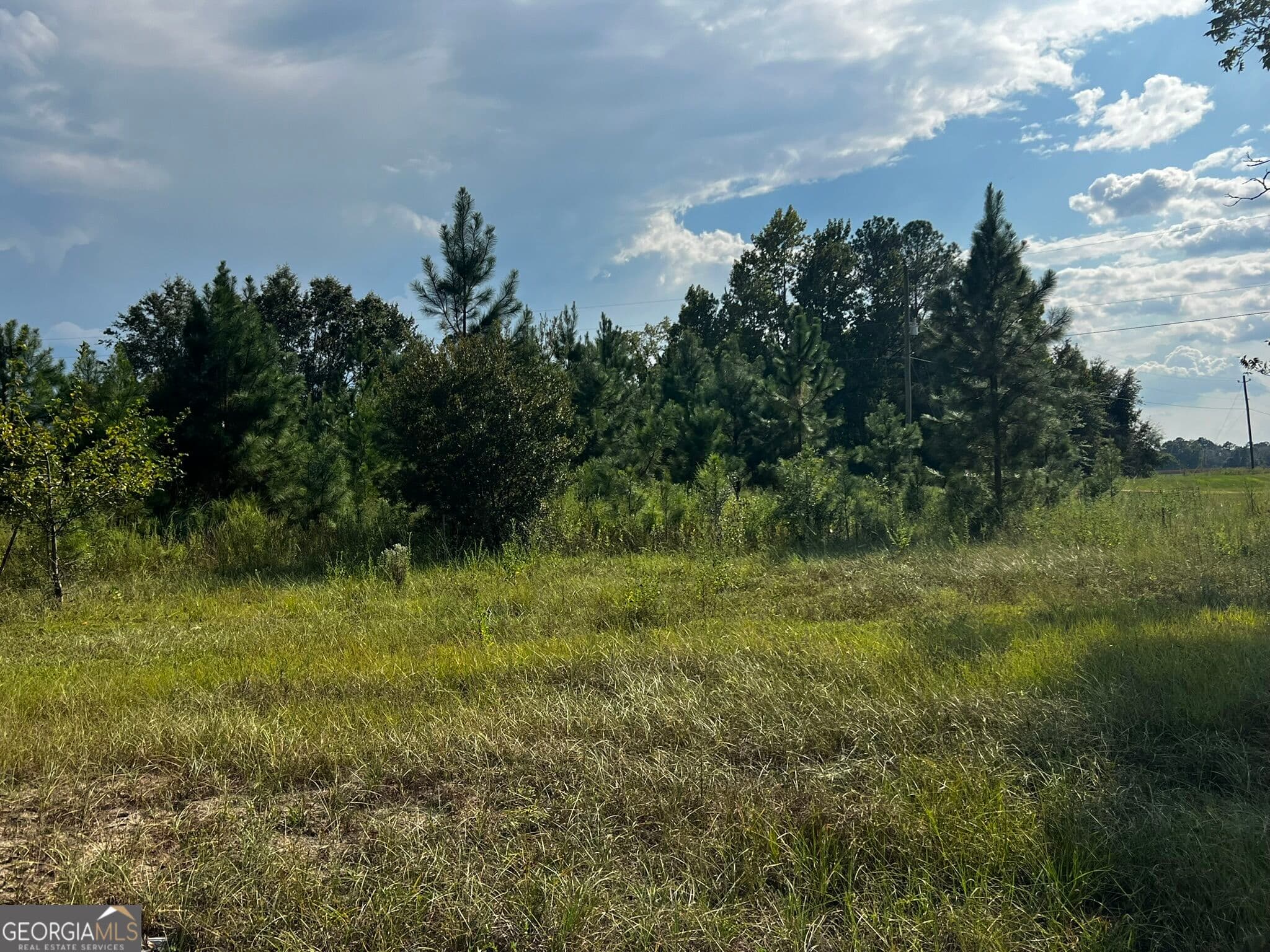 agriculture under contract at 3288 New Hope Road, Odum, GA 31555 — photo 3