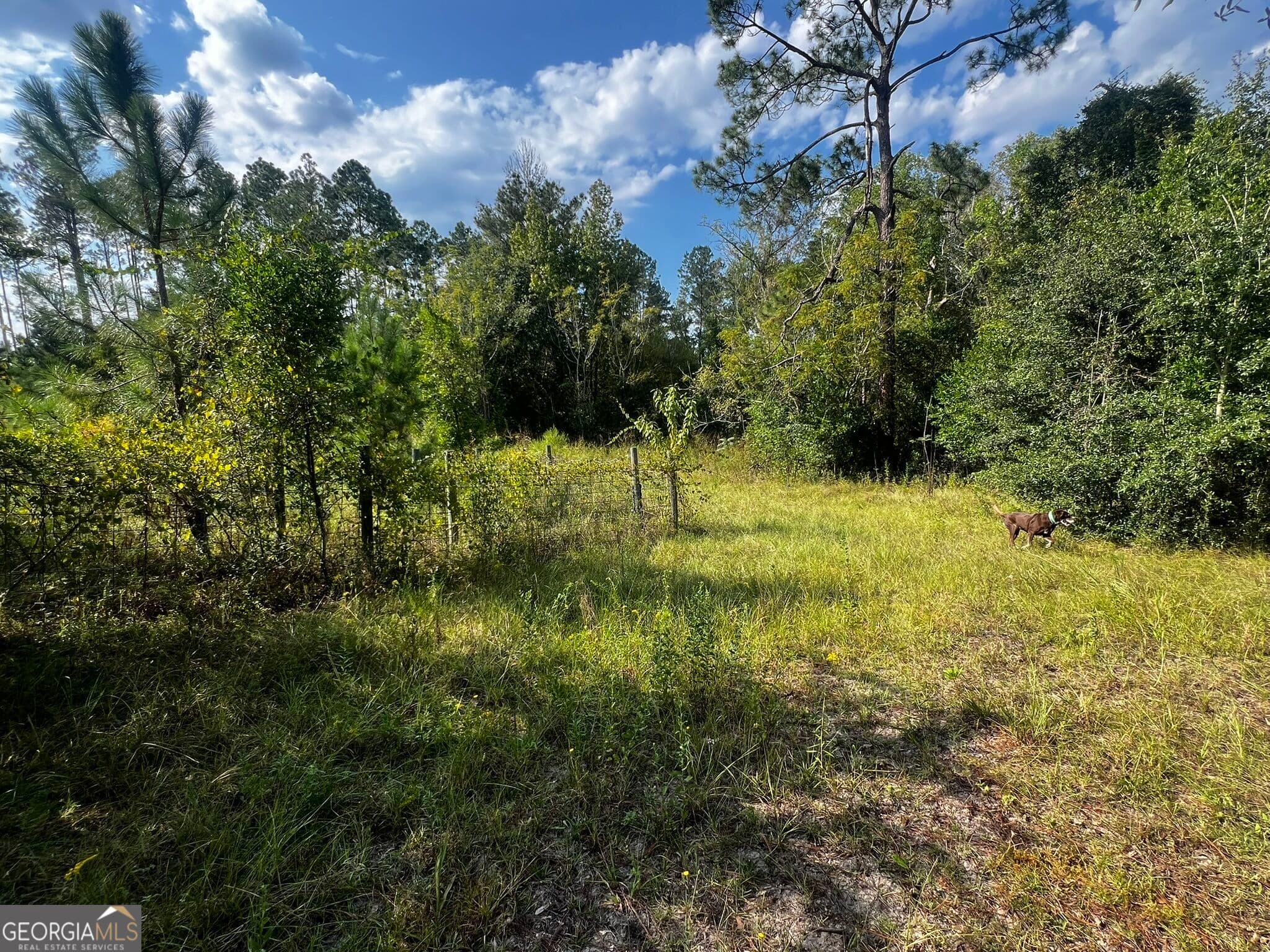 agriculture under contract at 3288 New Hope Road, Odum, GA 31555