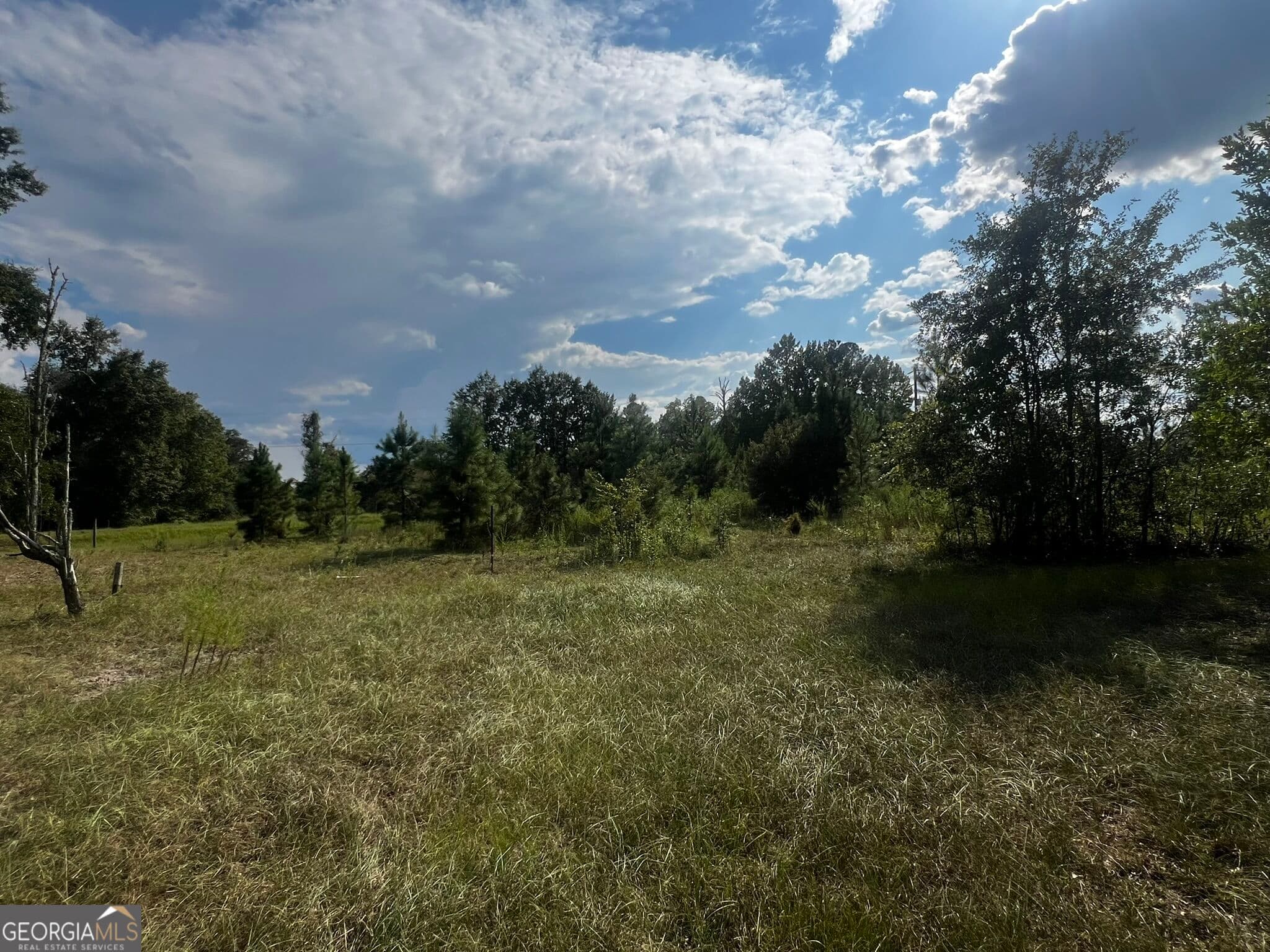 agriculture under contract at 3288 New Hope Road, Odum, GA 31555 — photo 5
