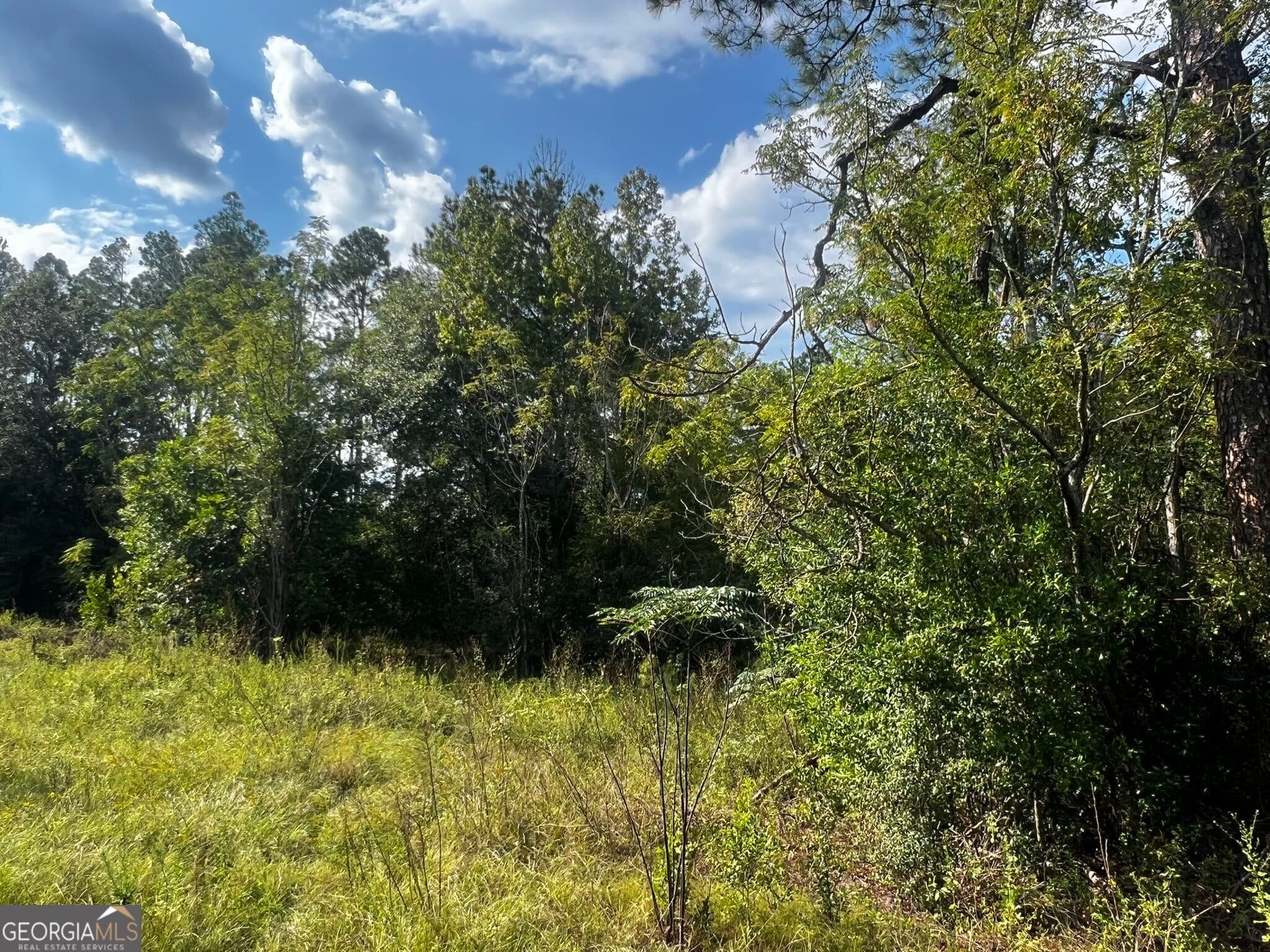 agriculture under contract at 3288 New Hope Road, Odum, GA 31555 — photo 4
