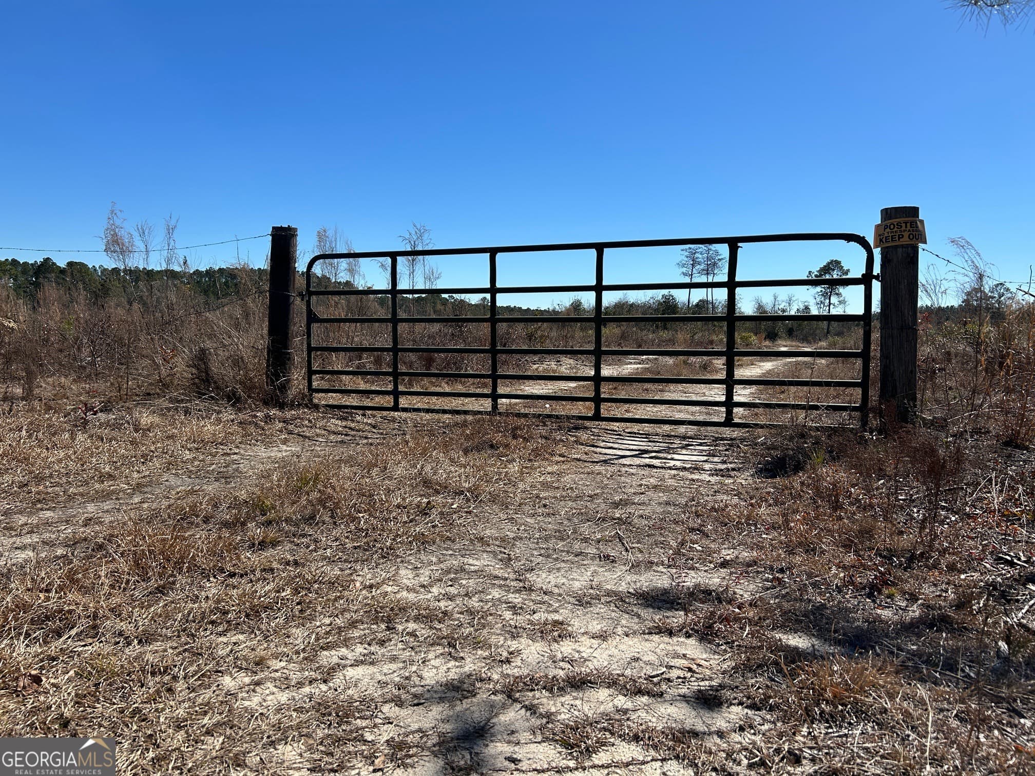 agriculture for sale at 2840 Bay Branch Road, Claxton, GA 30417 — photo 2