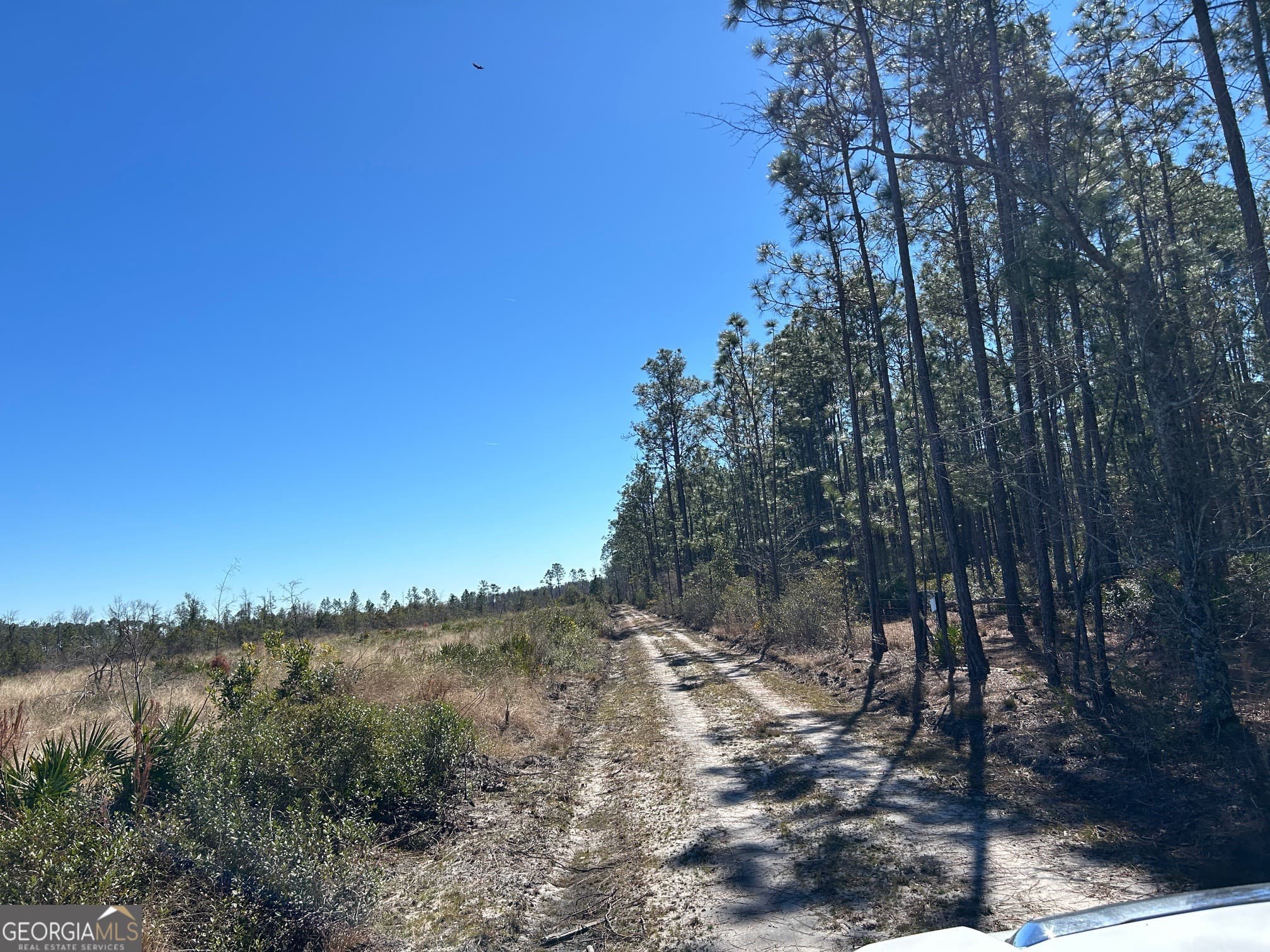 agriculture for sale at 2840 Bay Branch Road, Claxton, GA 30417 — photo 6