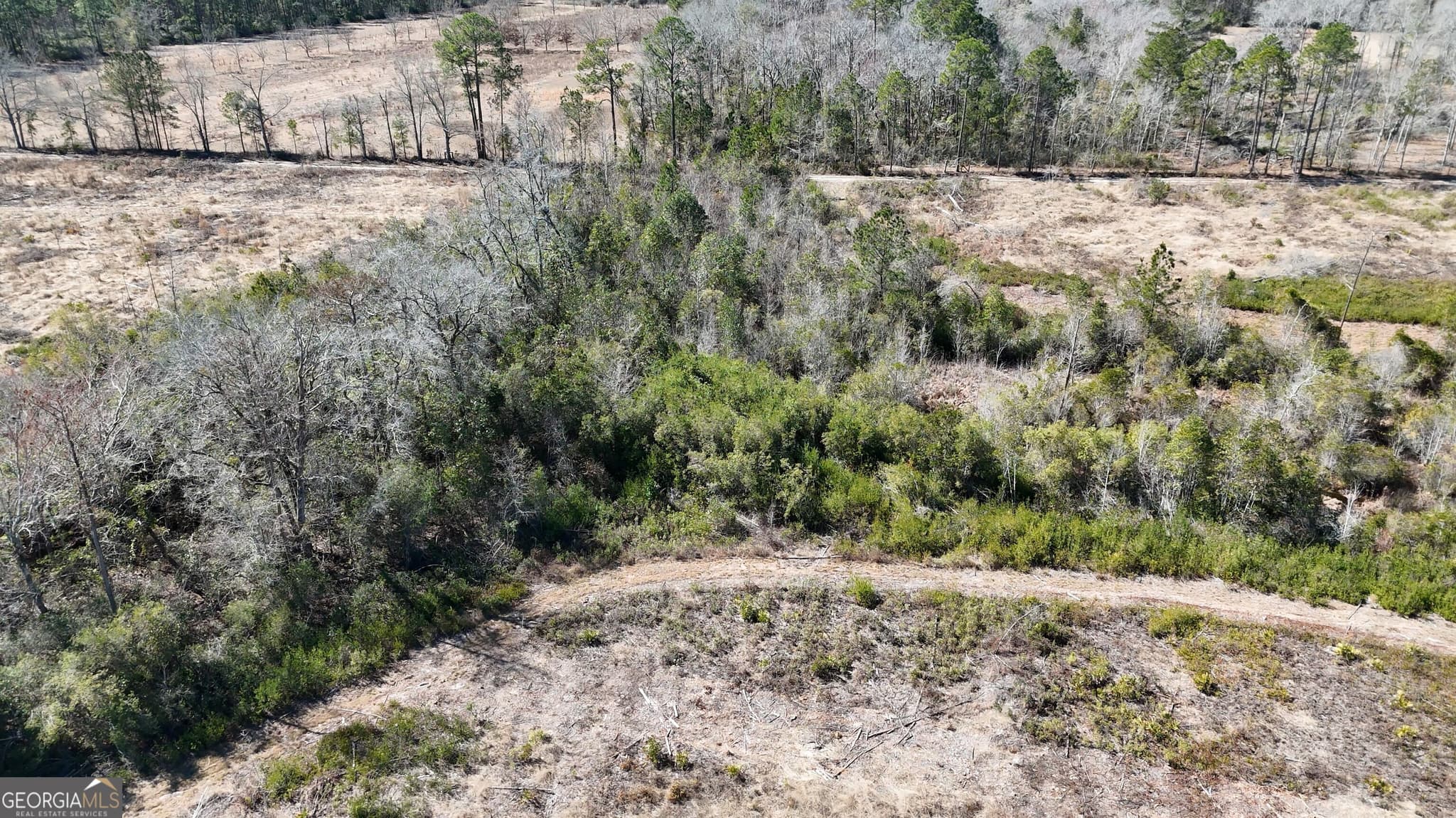 agriculture for sale at 2840 Bay Branch Road, Claxton, GA 30417 — photo 7