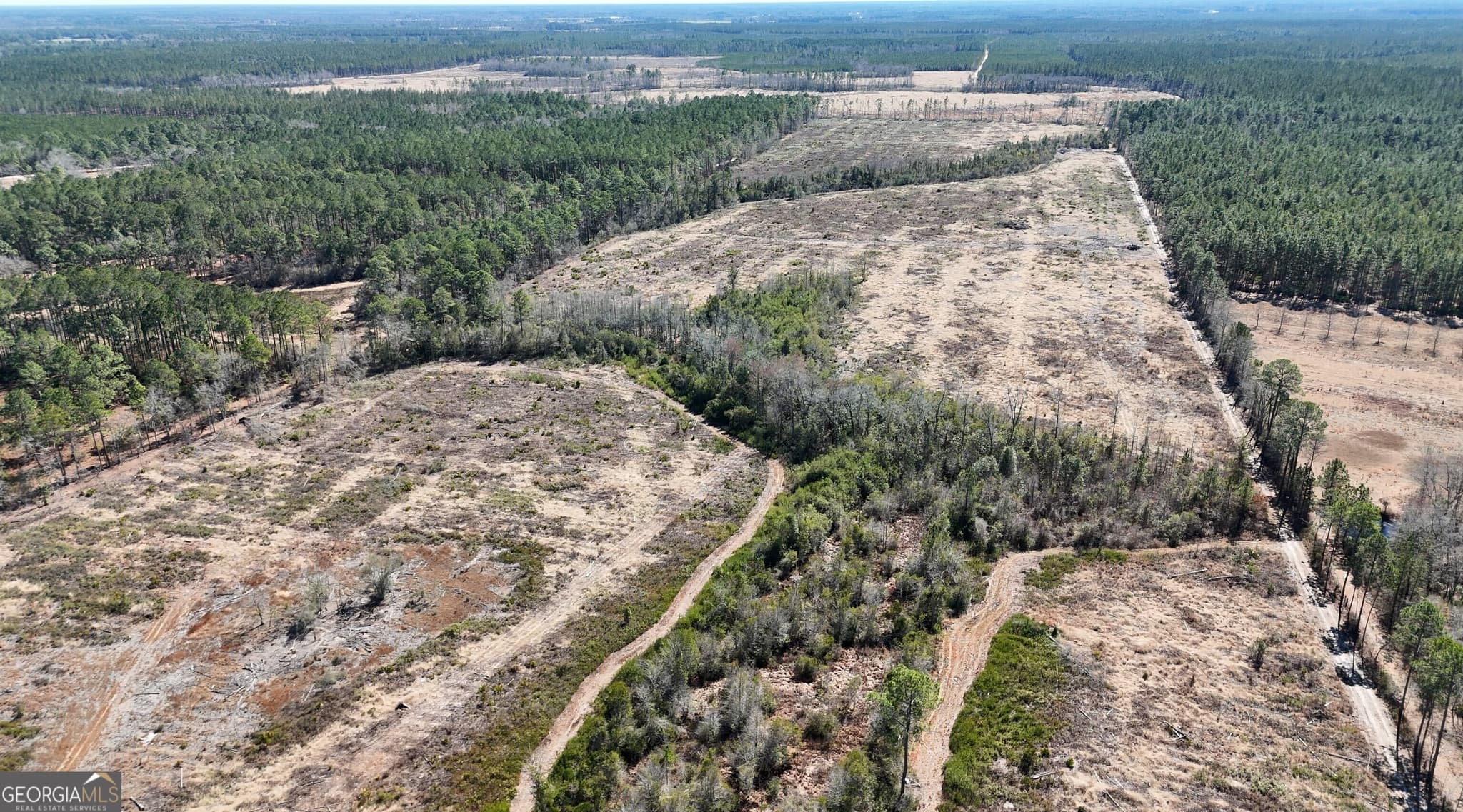 agriculture for sale at 2840 Bay Branch Road, Claxton, GA 30417 — photo 3