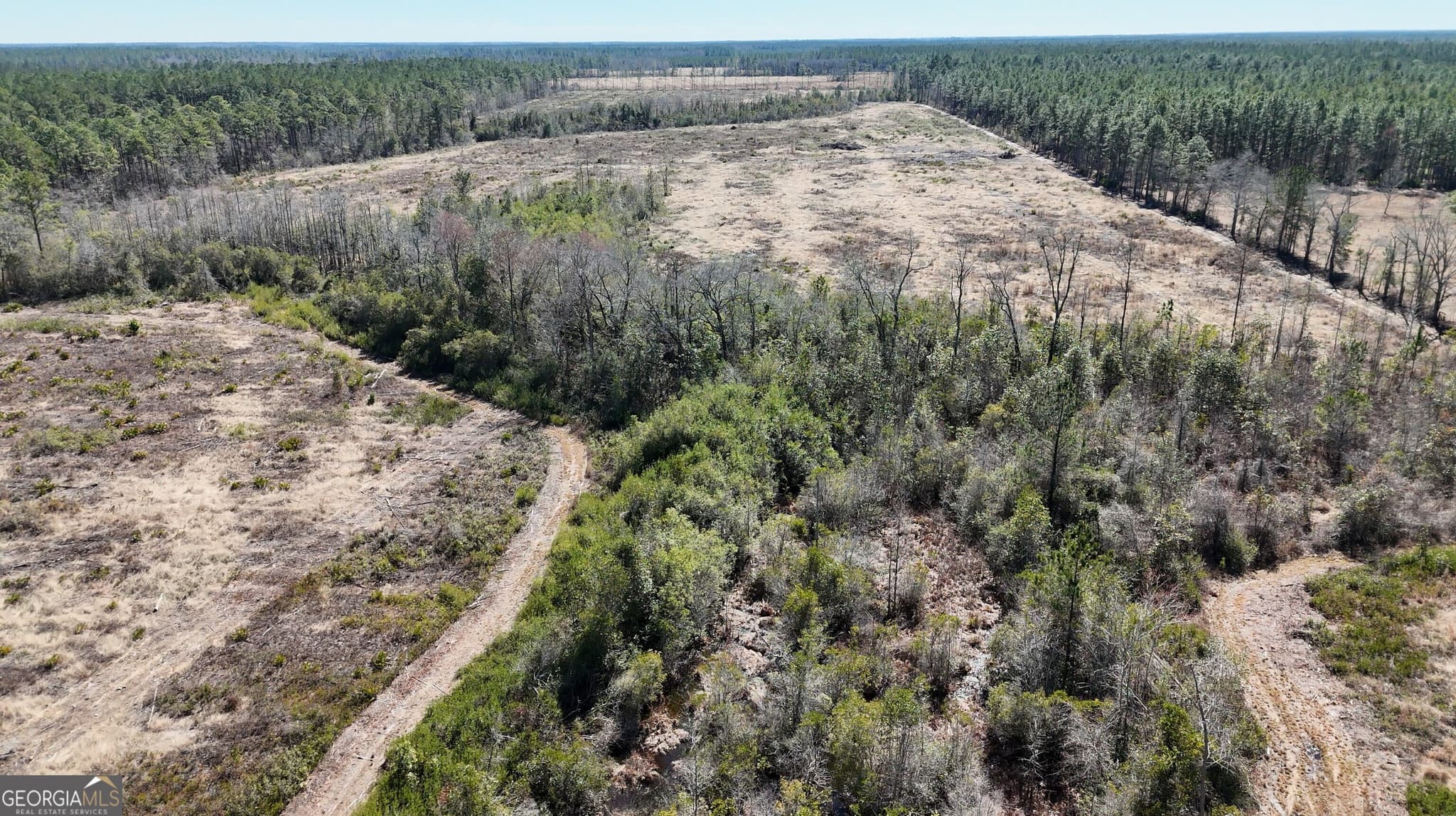 agriculture for sale at 2840 Bay Branch Road, Claxton, GA 30417 — photo 10