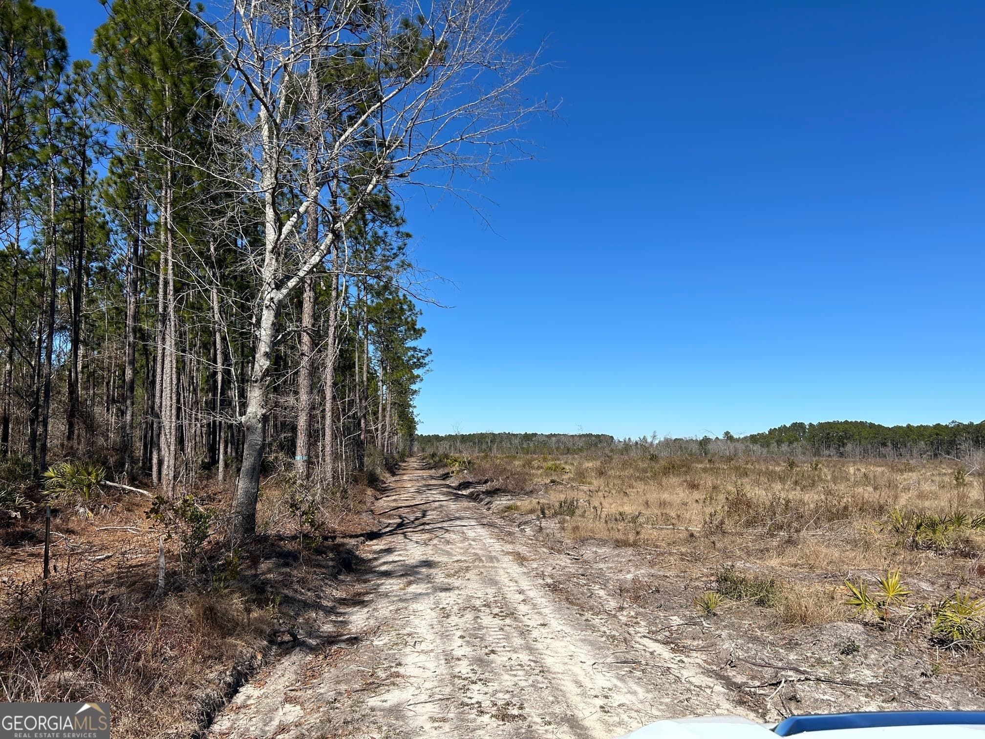 agriculture for sale at 2840 Bay Branch Road, Claxton, GA 30417 — photo 4