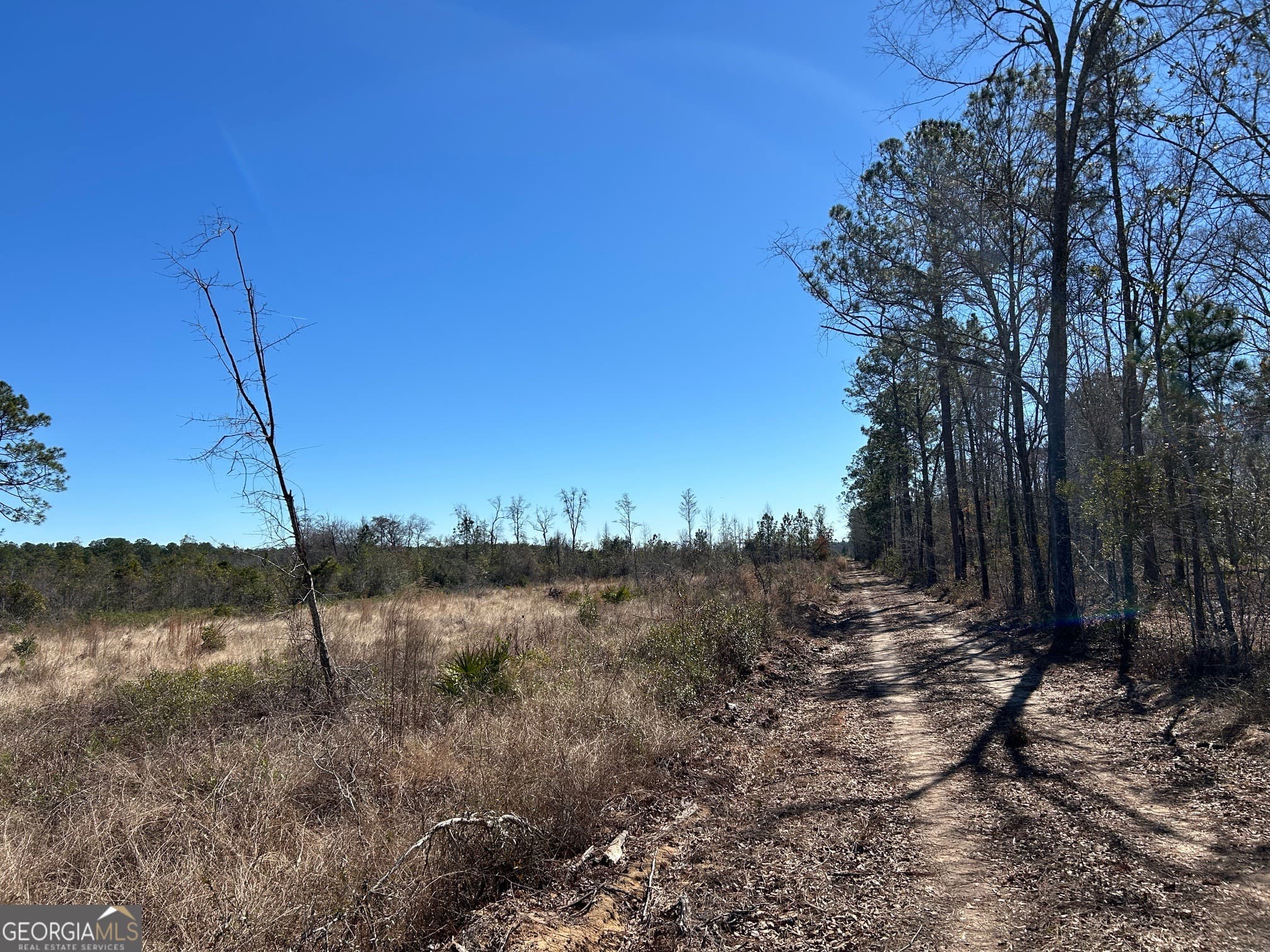 agriculture for sale at 2840 Bay Branch Road, Claxton, GA 30417 — photo 8