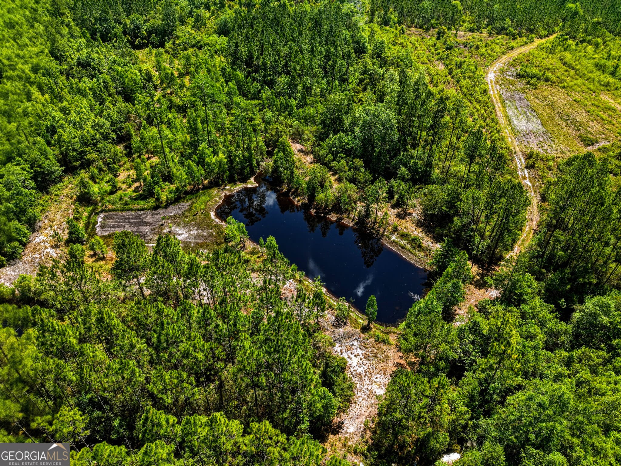 2 bedroom, 2 bathroom, 1,554 sq ft cabin,mixed use for sale at 88 Minnesota Road, Screven, GA 31560 — photo 8