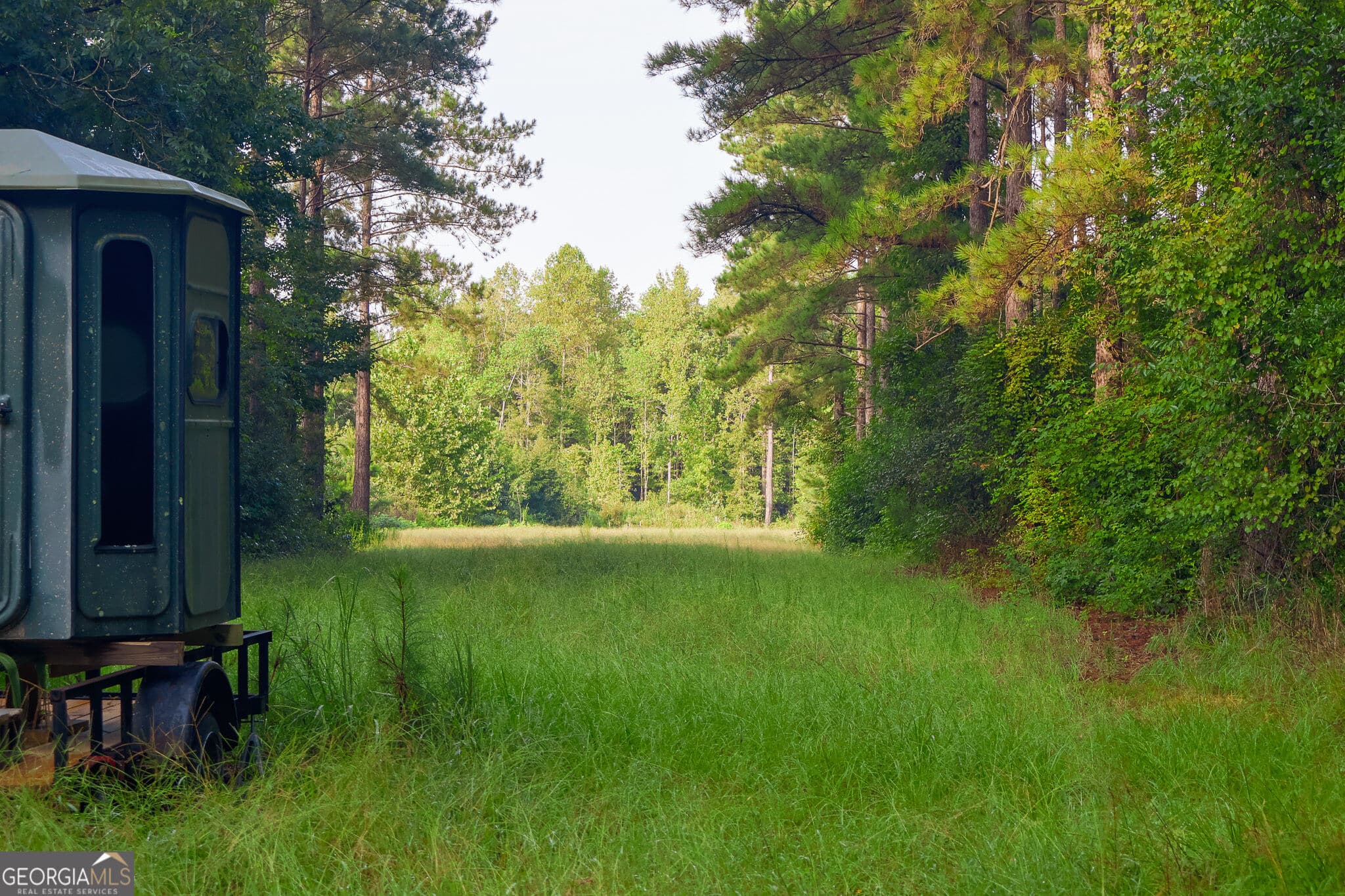3 bedroom, 1 bathroom, 1,428 sq ft single family residence for sale at 1362 Doyle Road, Sardis, GA 30456 — photo 2