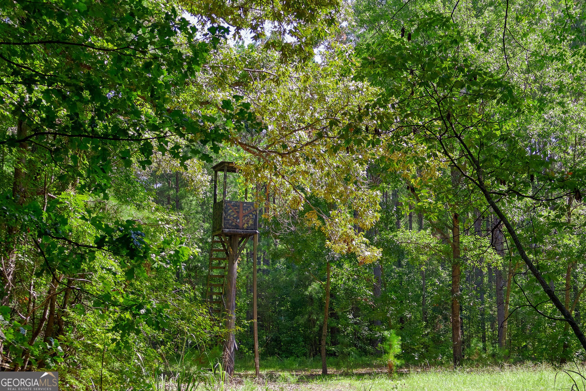 3 bedroom, 1 bathroom, 1,428 sq ft single family residence for sale at 1362 Doyle Road, Sardis, GA 30456 — photo 7